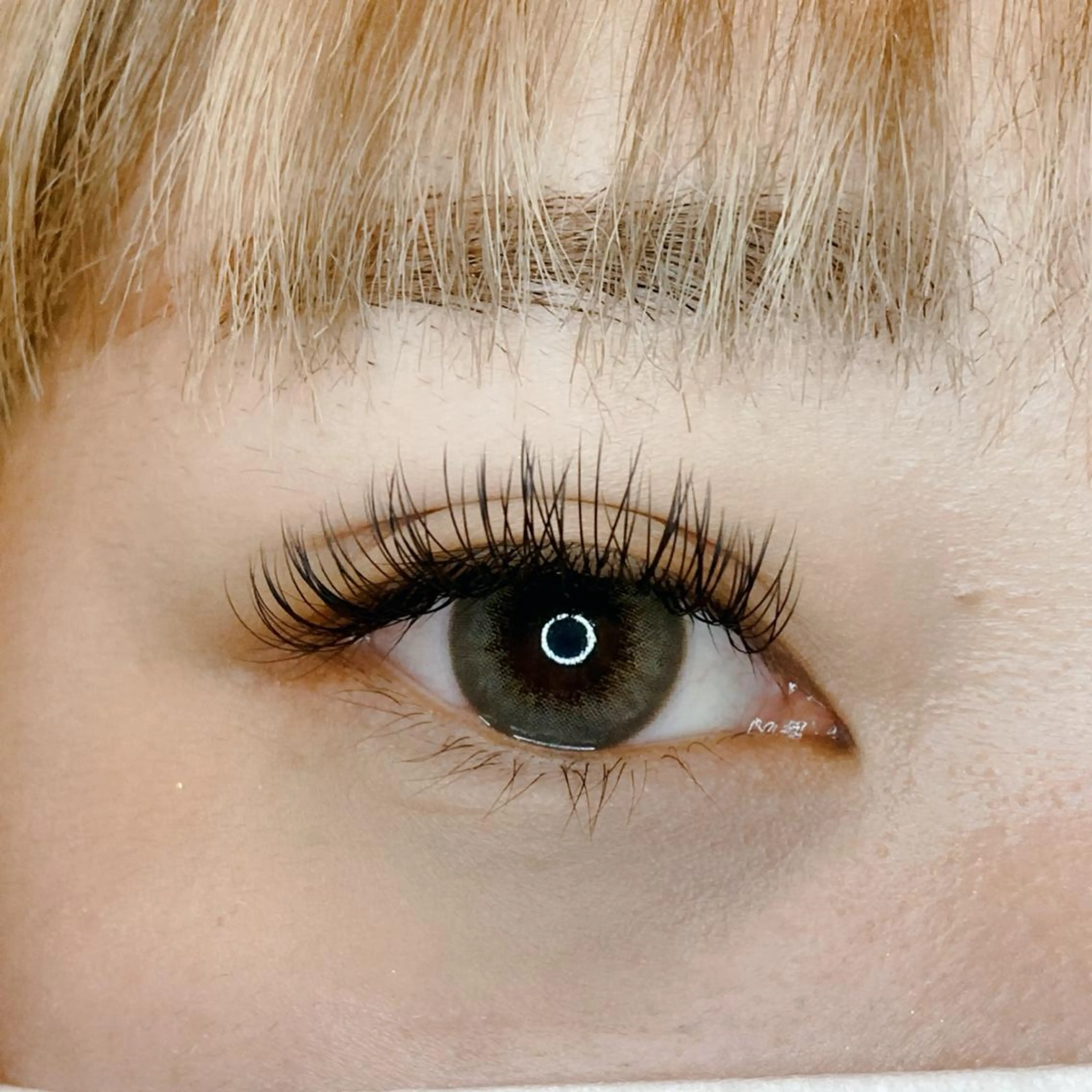 マツエク・マツパ 付け放題 CCカール Cカール フラットラッシュ マツエク tozone eye AYANOのマツエク・マツパデザイン