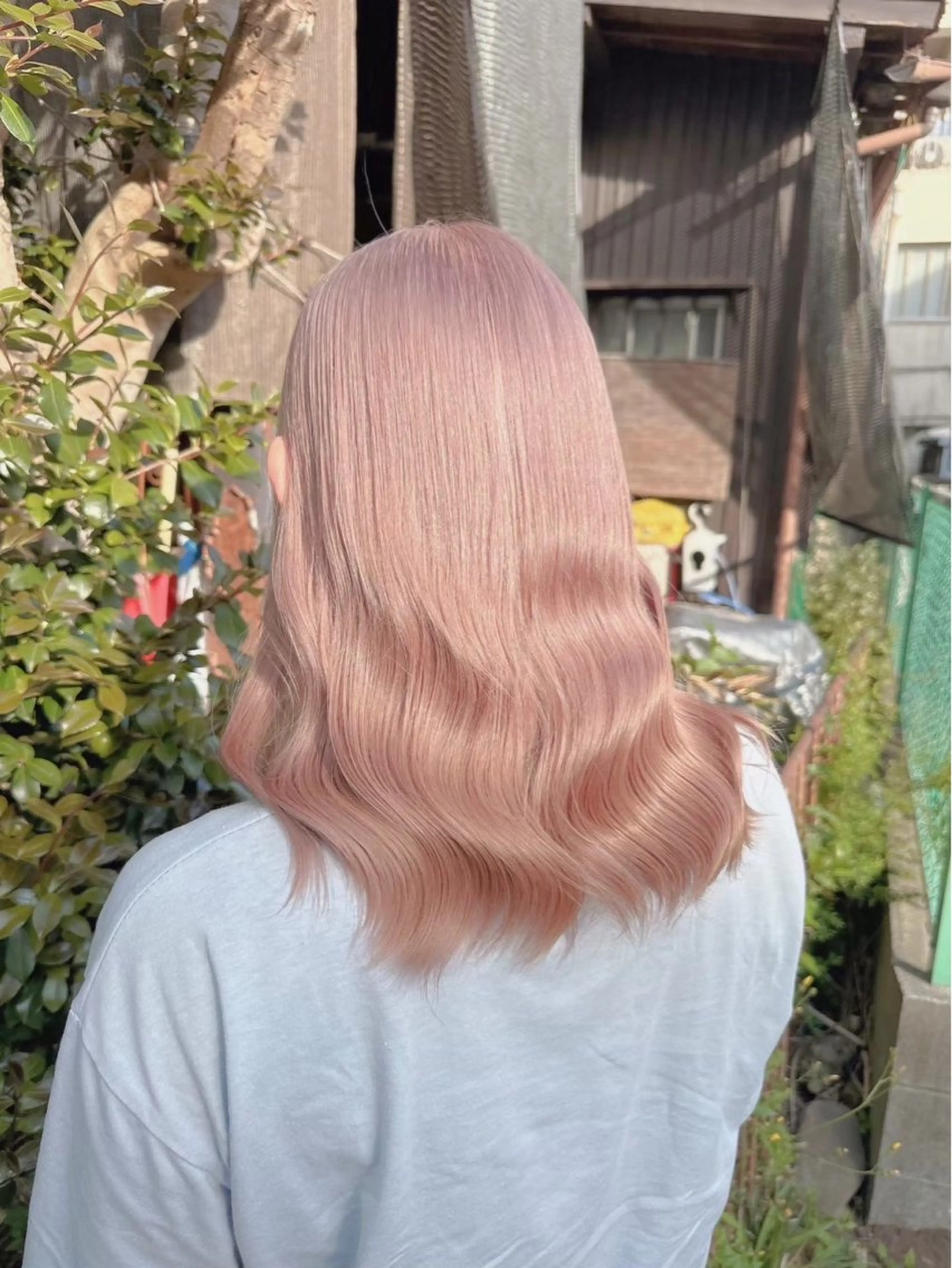 ミディアム 栄🎡ピンクカラー 💕SAKURA💕のヘアスタイル