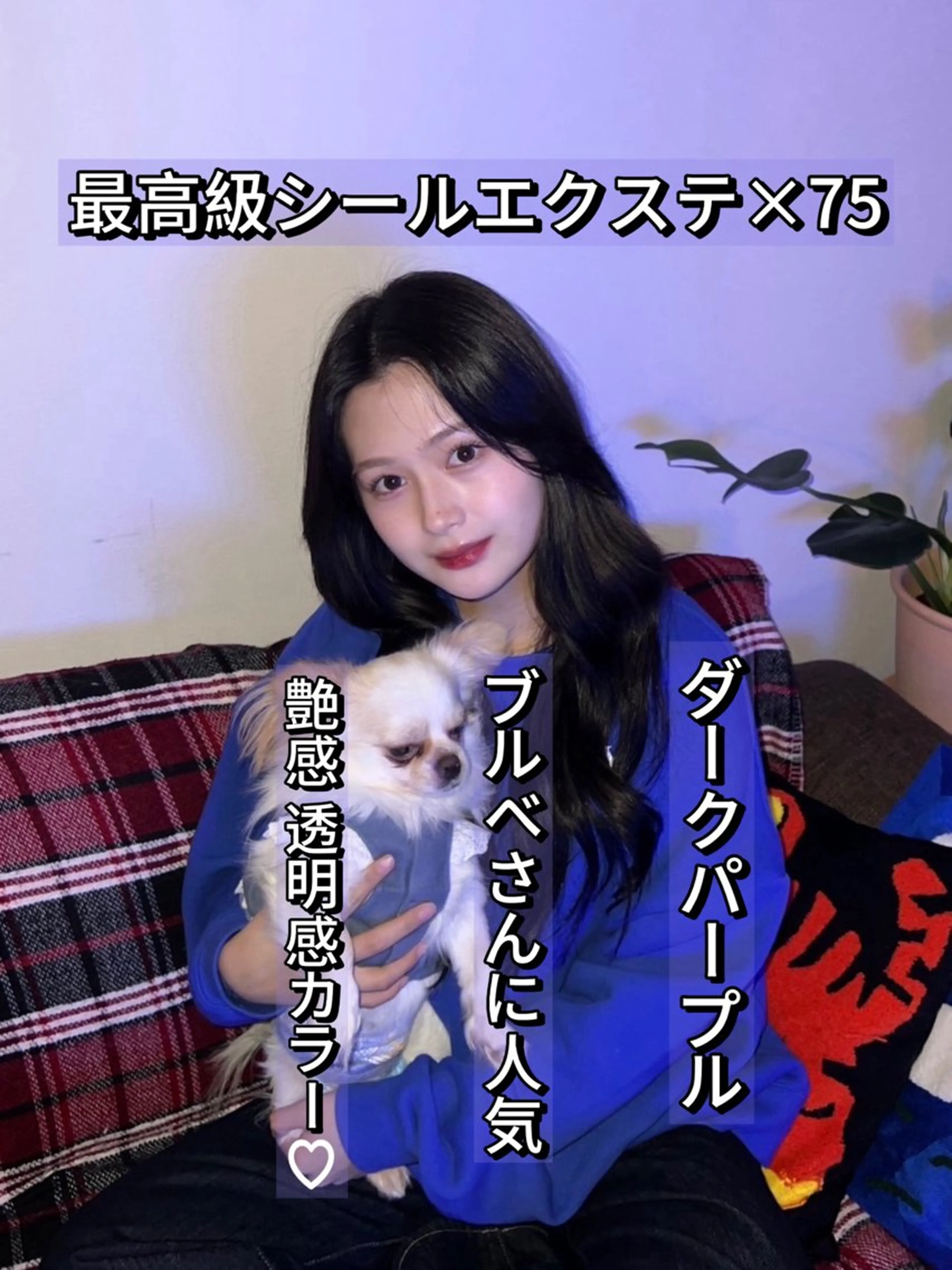 エクステ 二宮 陽太のヘアスタイル