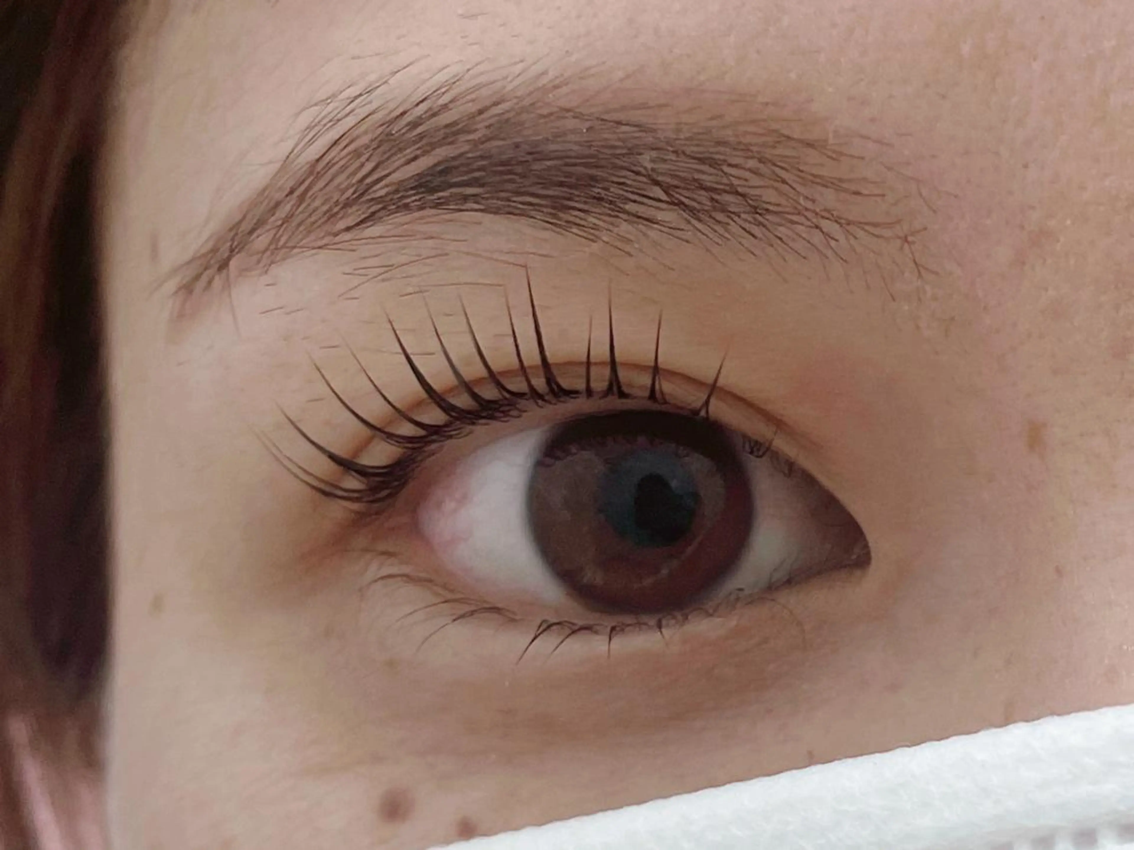 マツエク・マツパ ナチュラル 一重×まつ毛パーマ eyelash momoのマツエク・マツパデザイン