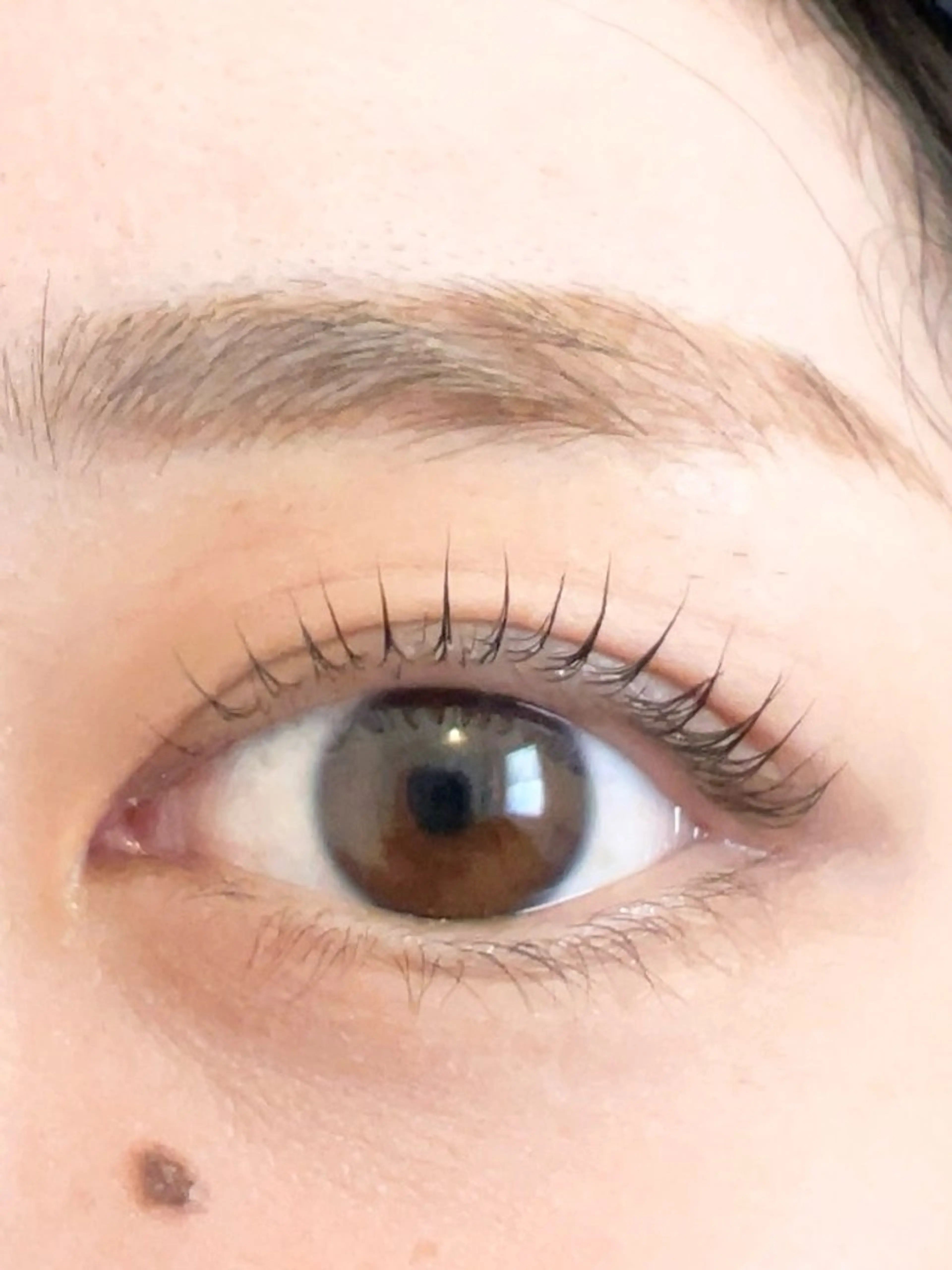 🌈モデルさん限定🌈ぱっちり長さ重視パリジェンヌ上の写真