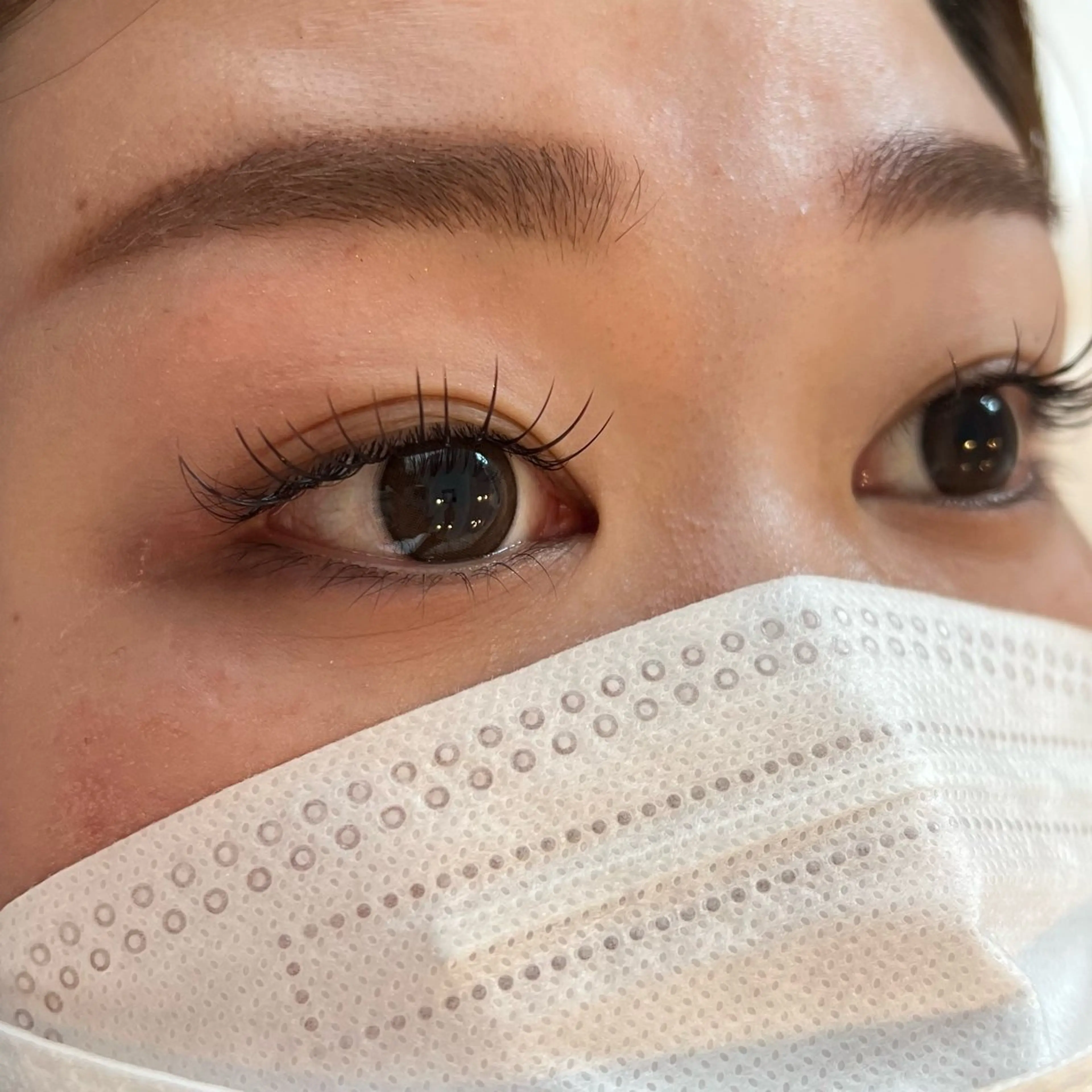 9月限定🤍𐙚まつげエクステ 100本(オフ込み)の写真