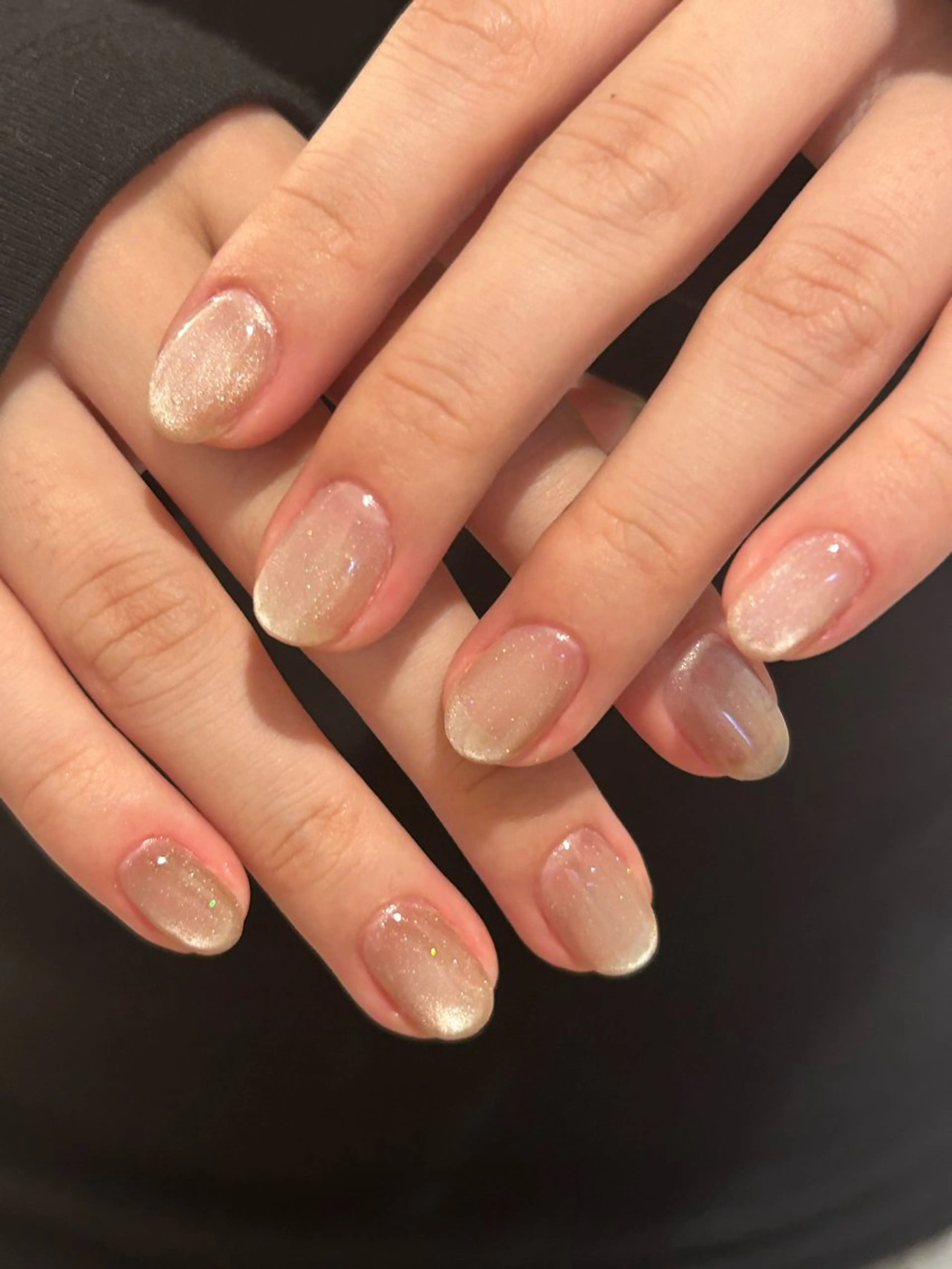 ネイル ホログラムネイル キラキラネイル マグネットネイル シンプルネイル ハンドネイル katarina🪐 filonnailのネイルデザイン