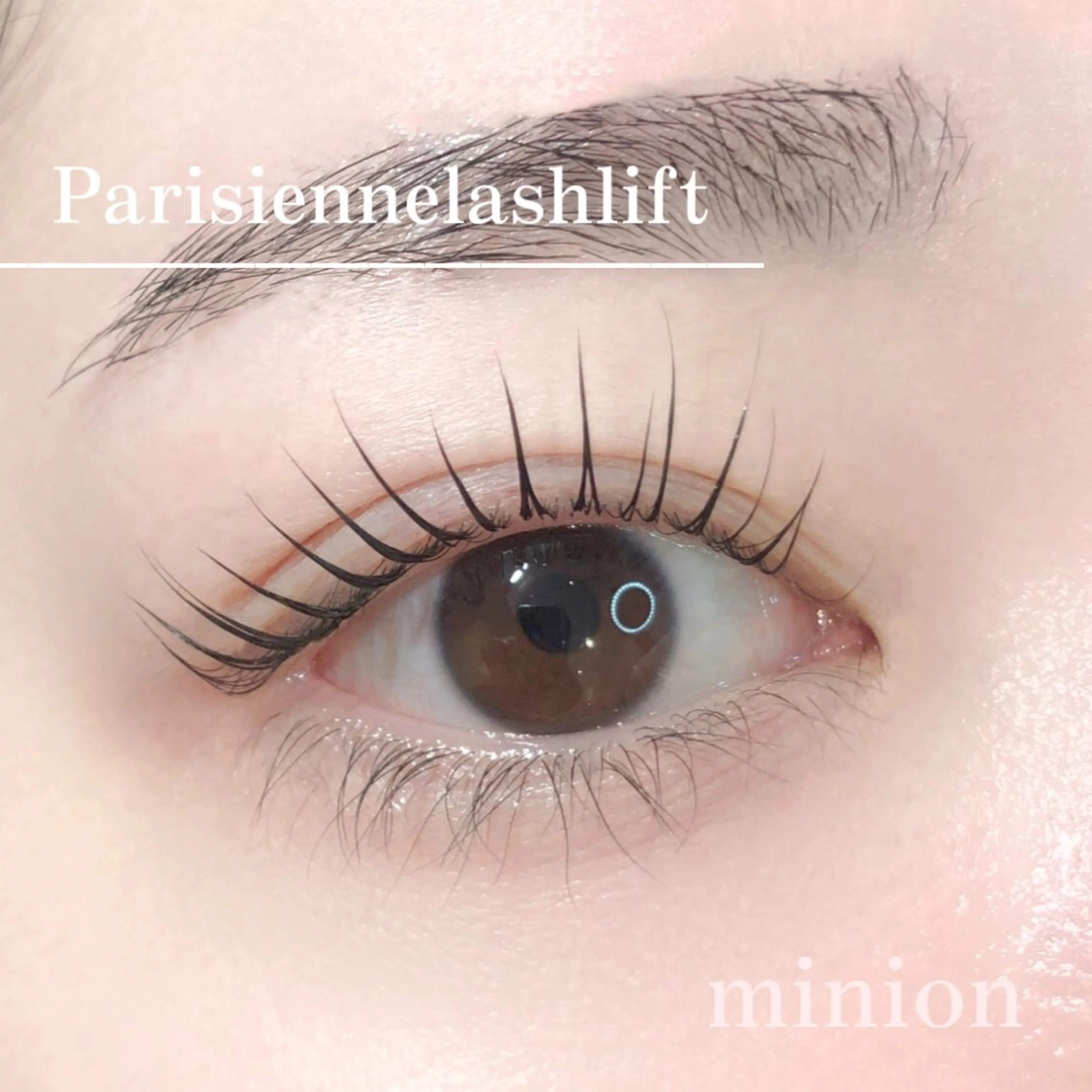 平日限定！パリジェンヌラッシュリフト🎀の写真