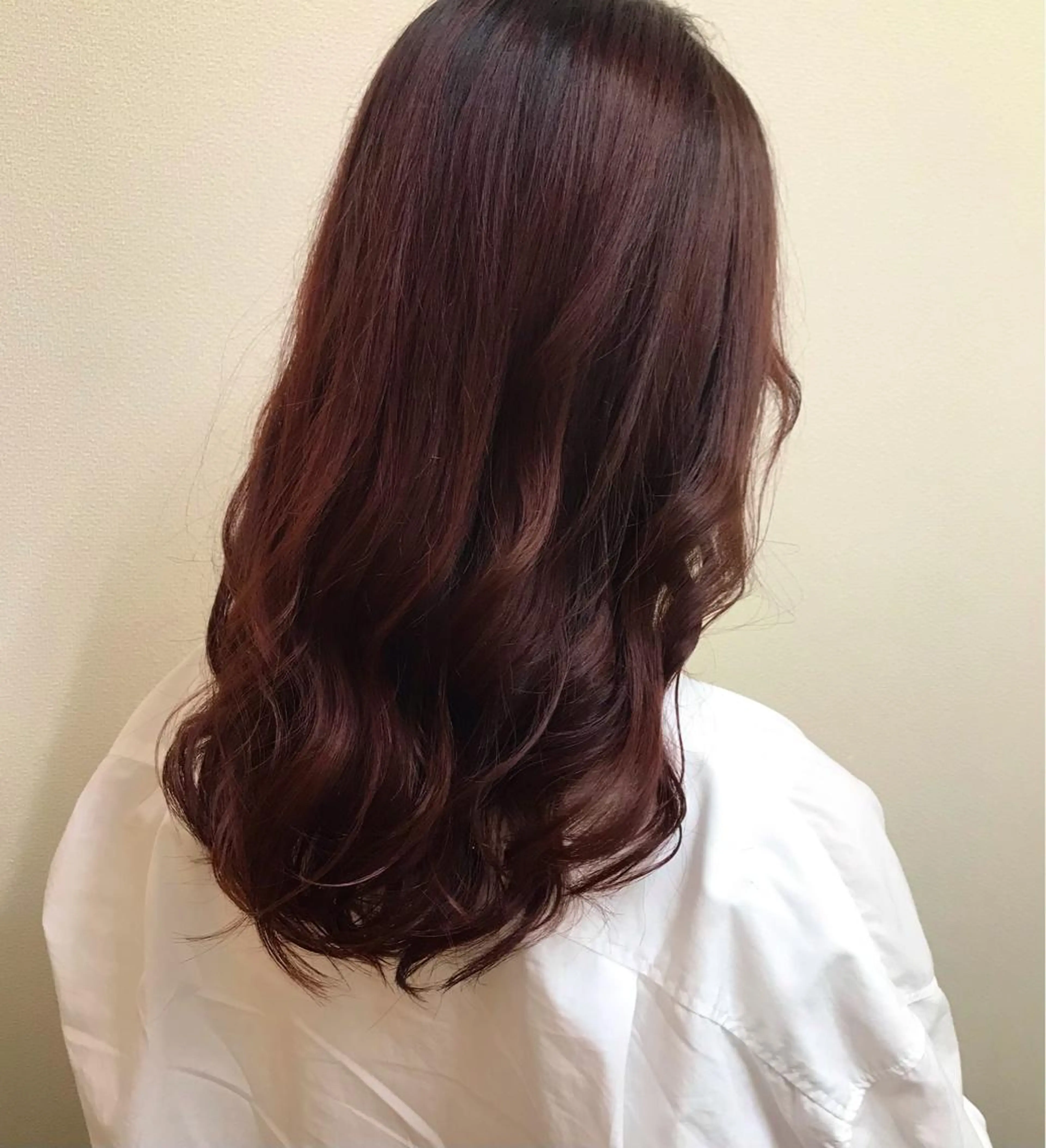 セミロング カラー カシス レッドカラー sherry所属・髪質再整color 🤎cut🤎ぐっちのヘアスタイル