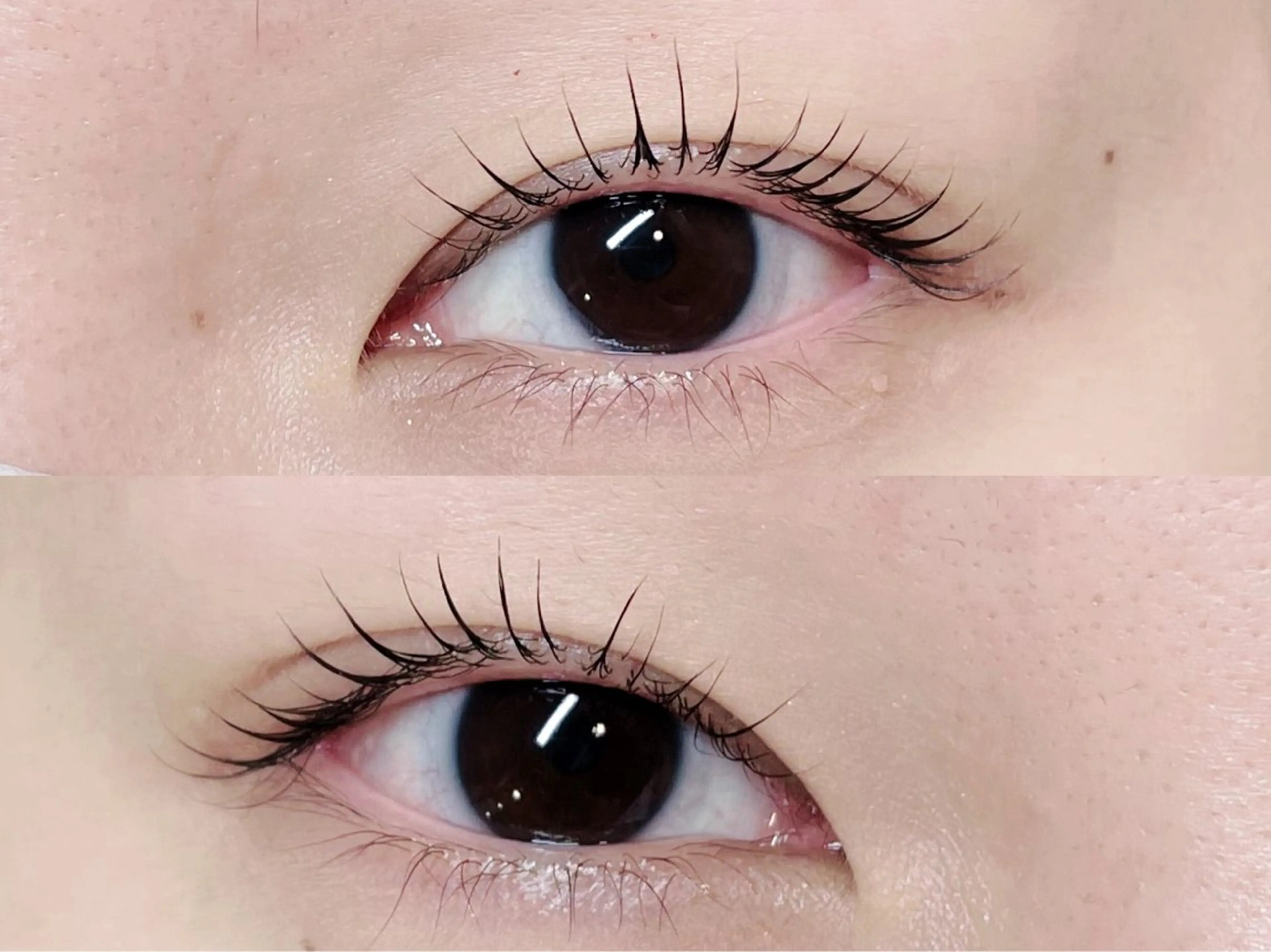 マツエク・マツパ マツパ 🎀Lino 中目黒 TAKAMI🐈のマツエク・マツパデザイン