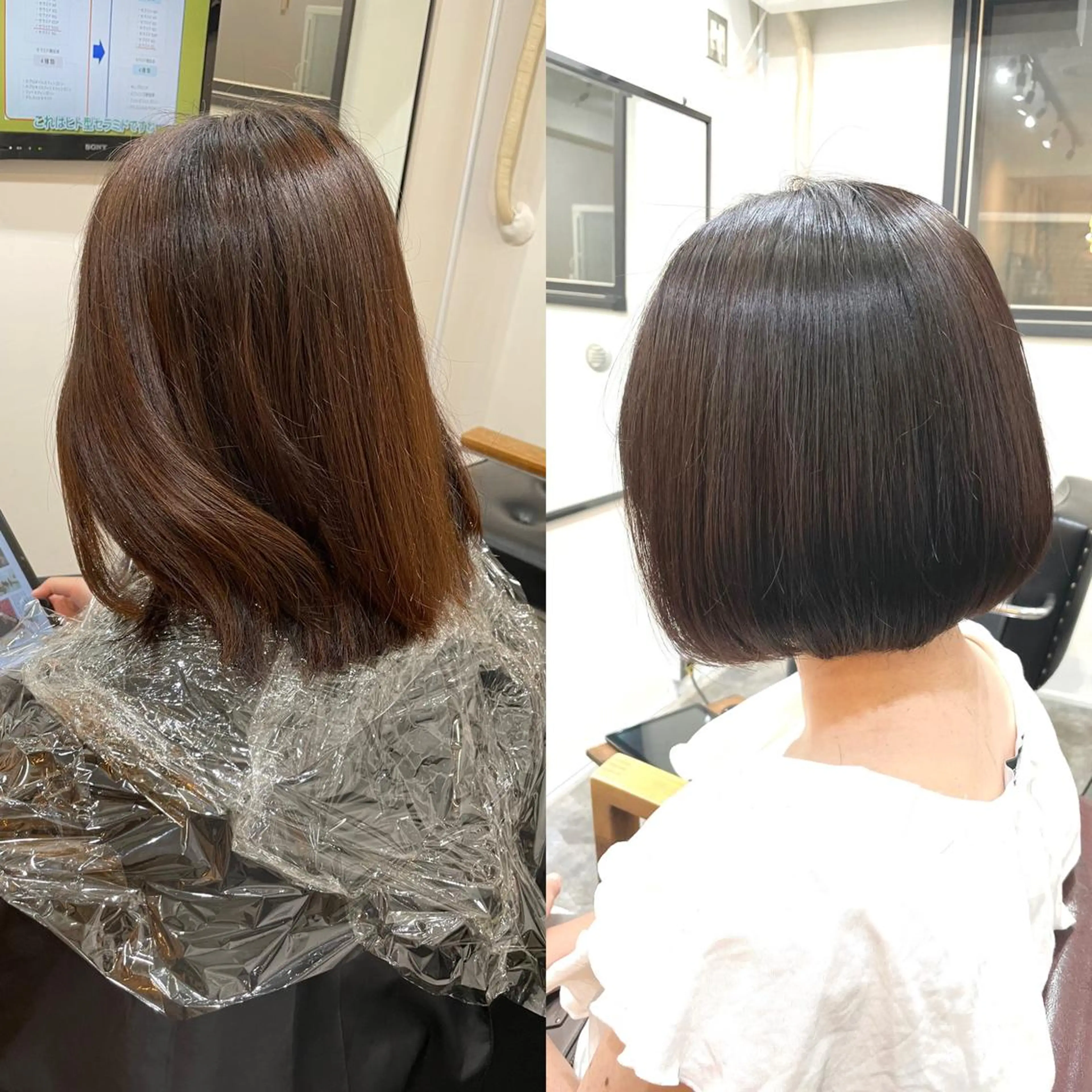 ショート カラー ボブ カット ヘアカラー トリートメント SUN GLOW  サングロウ所属・ナカノメ トシアキのヘアスタイル