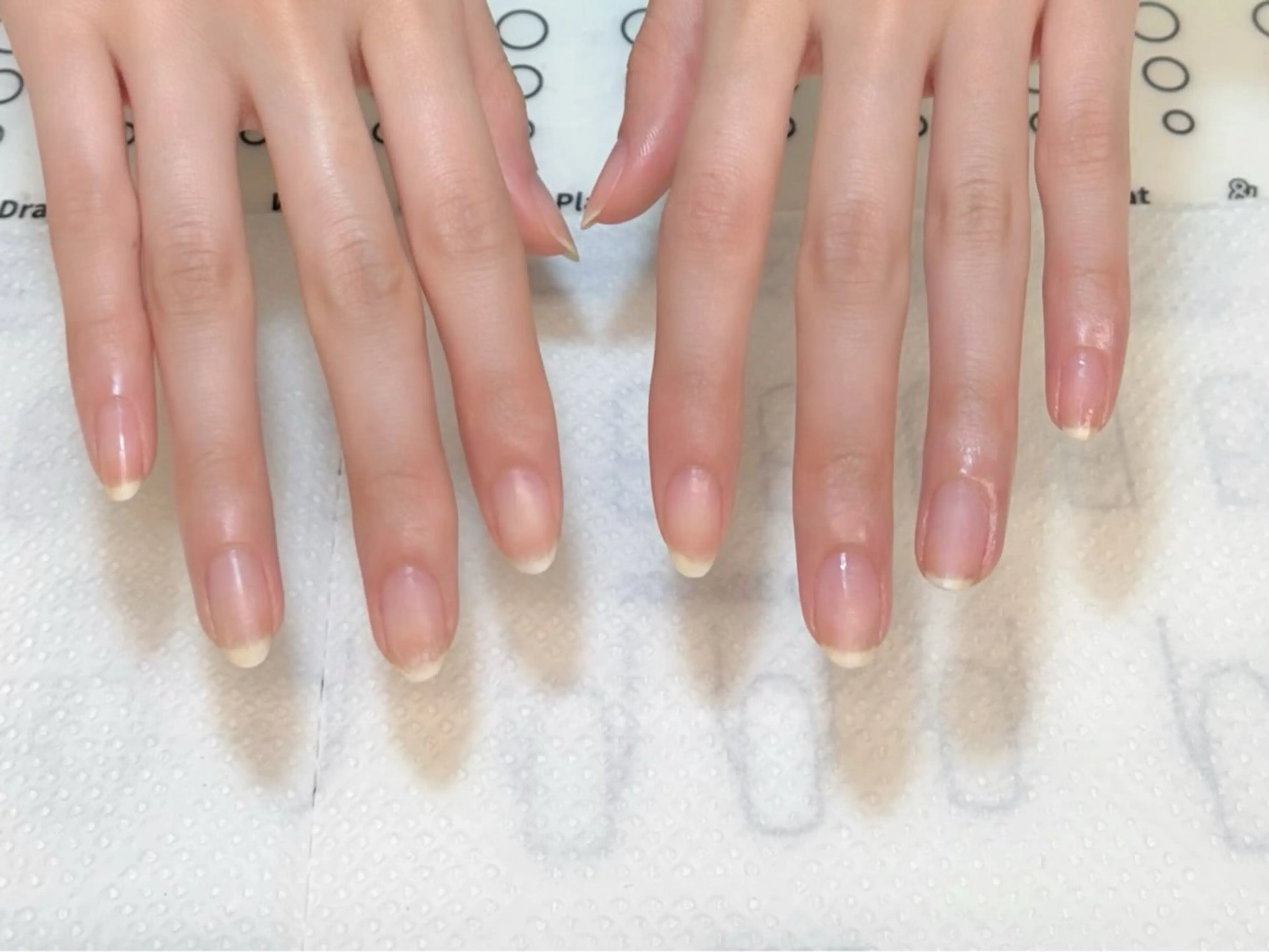 ネイル Alisa nail Timiのネイルデザイン