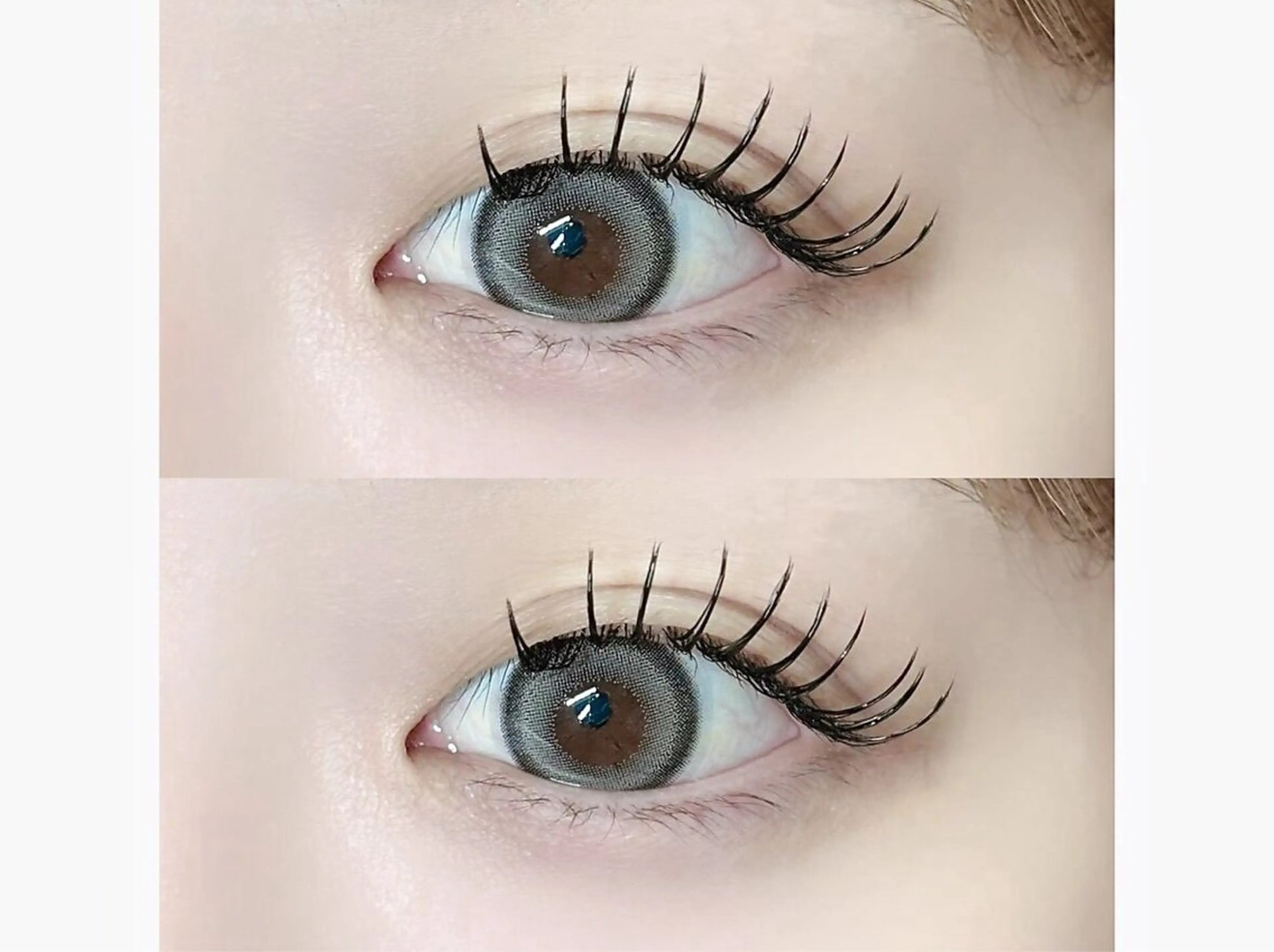 フラットラッシュ100本の写真