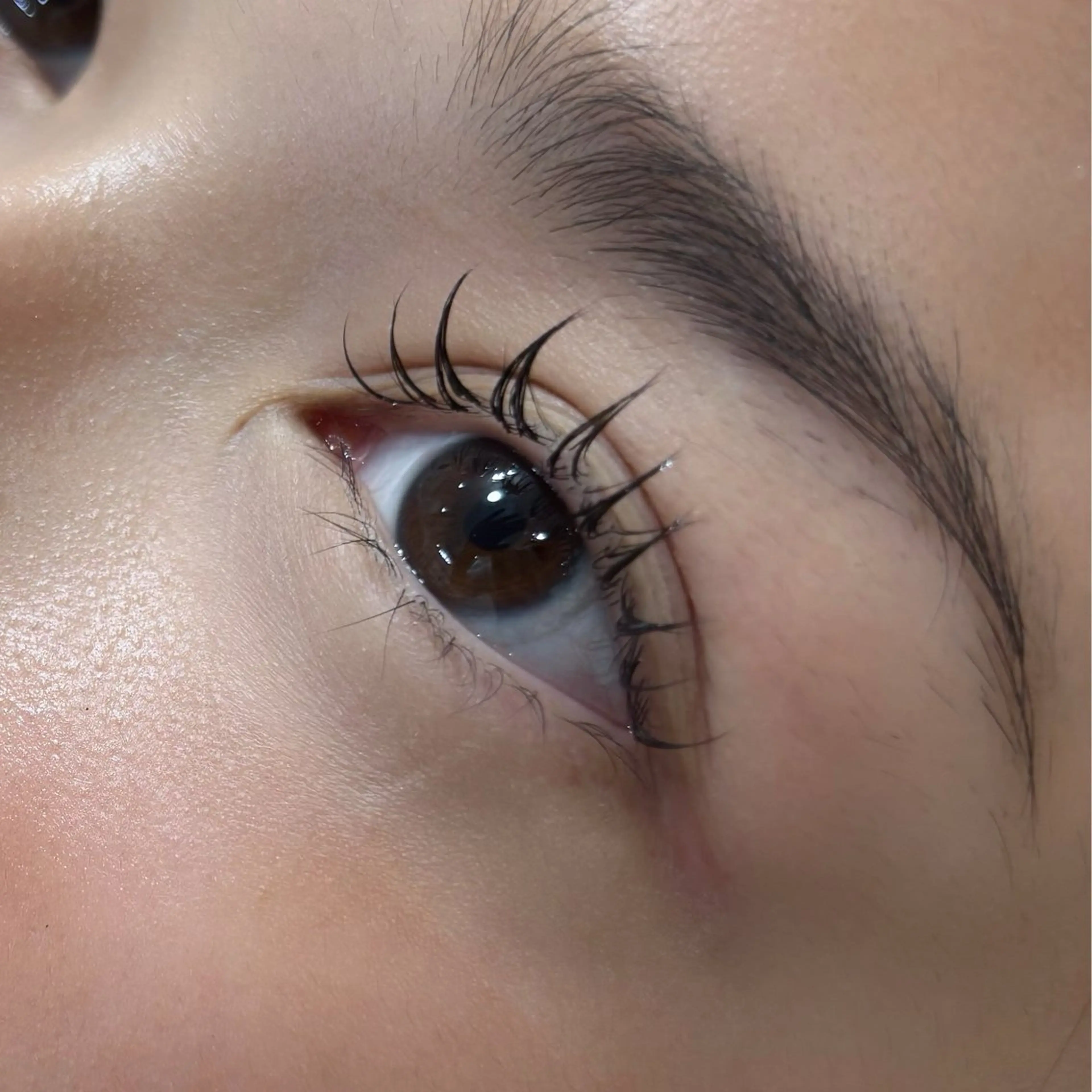 マツエク・マツパ マツエク BIANCA🤍🎀 OGAWAのマツエク・マツパデザイン