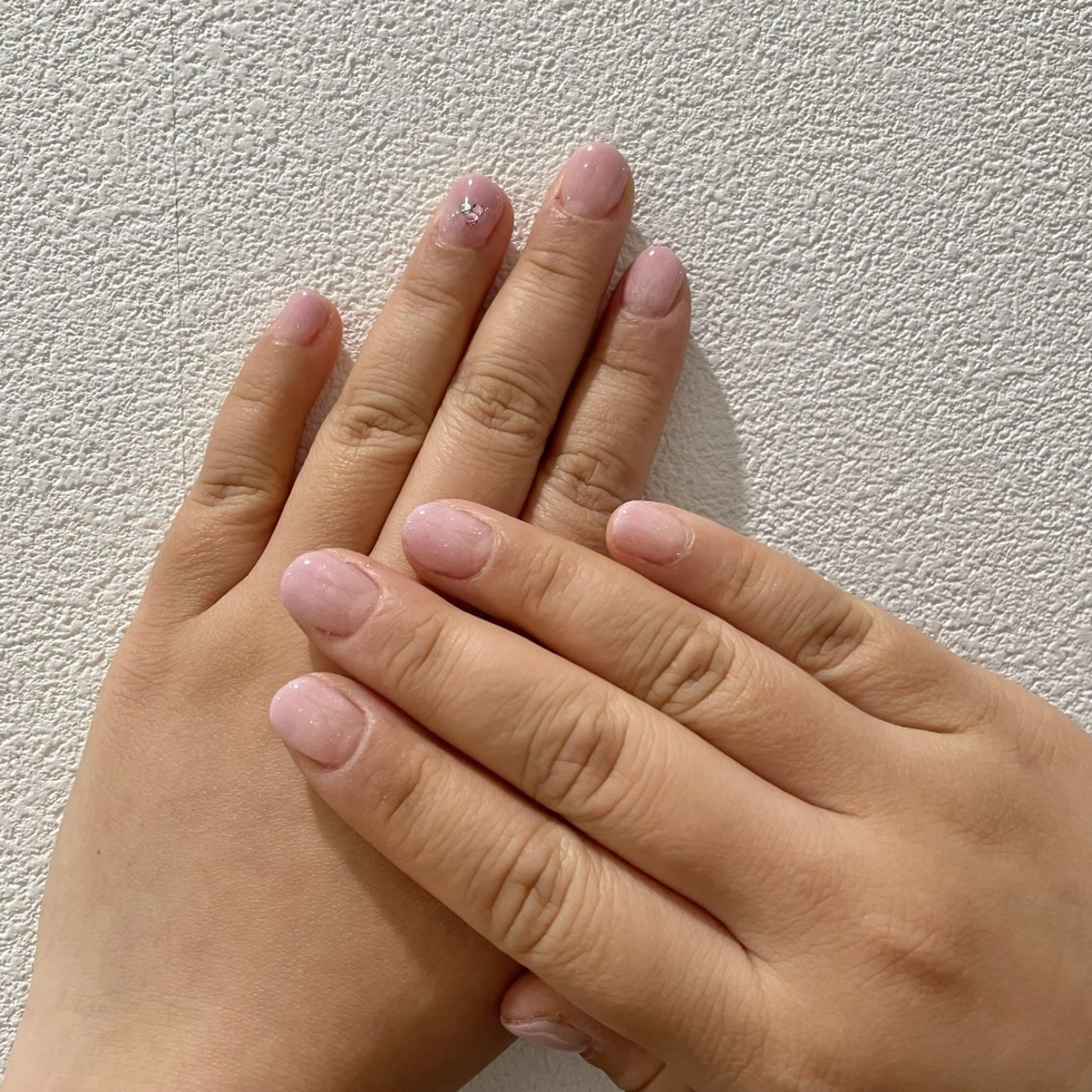 限定【モニター募集】グラデーションの写真