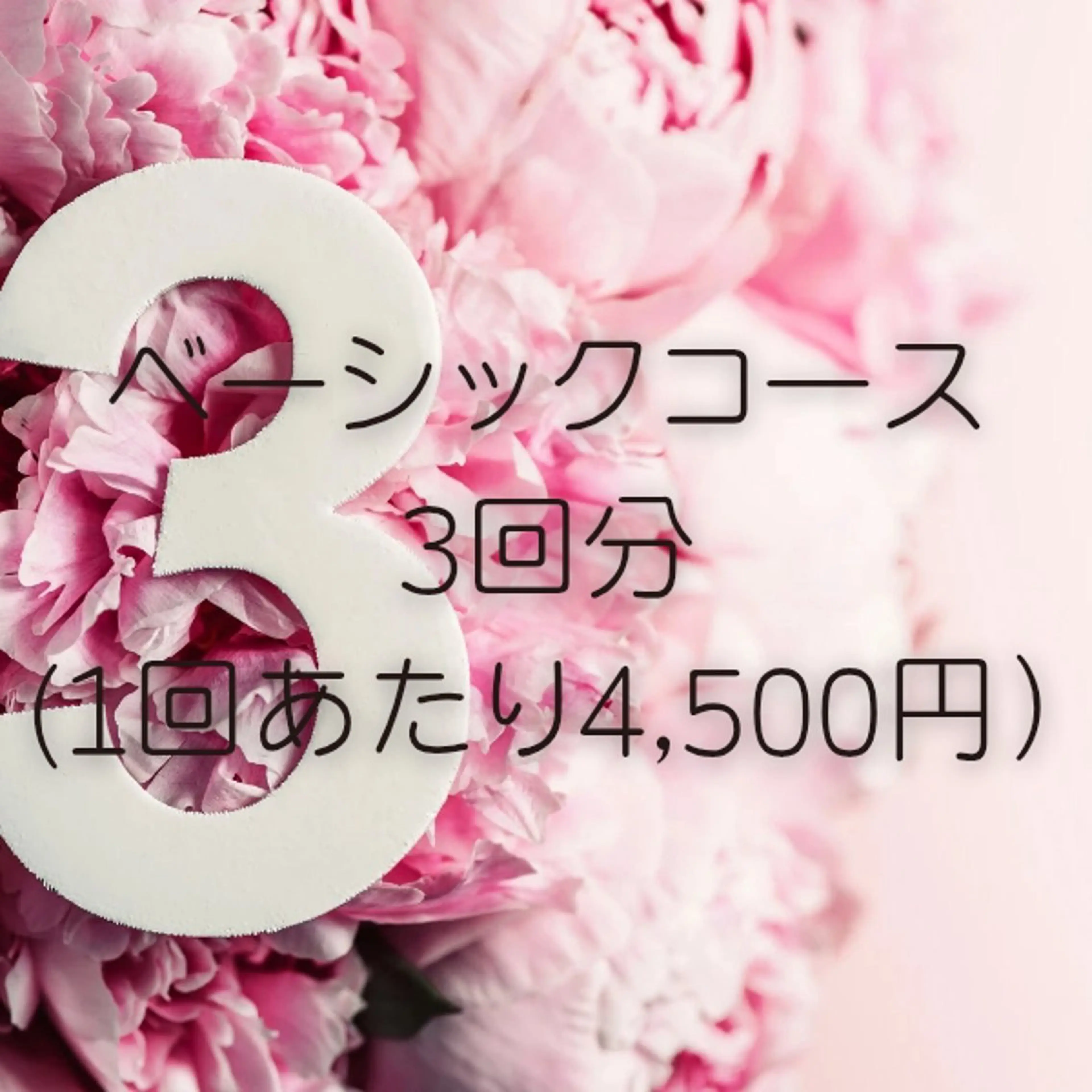 【回数券】ベーシックコース3回の写真