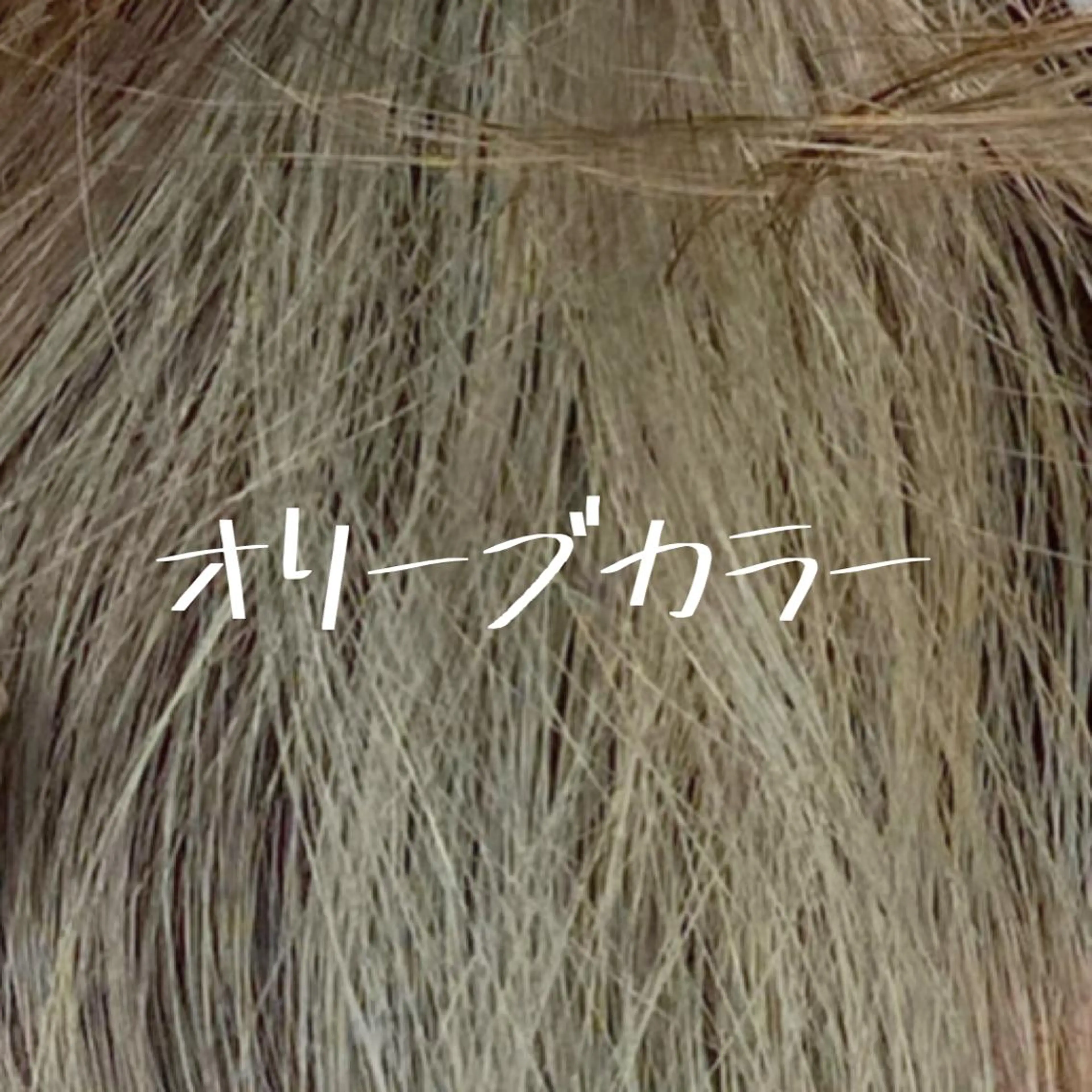 ミディアム カラー バレイヤージュ ベージュカラー ブリーチ ケアブリーチ ダブルカラー 小嶋 秀明/ 本物の髪質改善⭐️のヘアスタイル