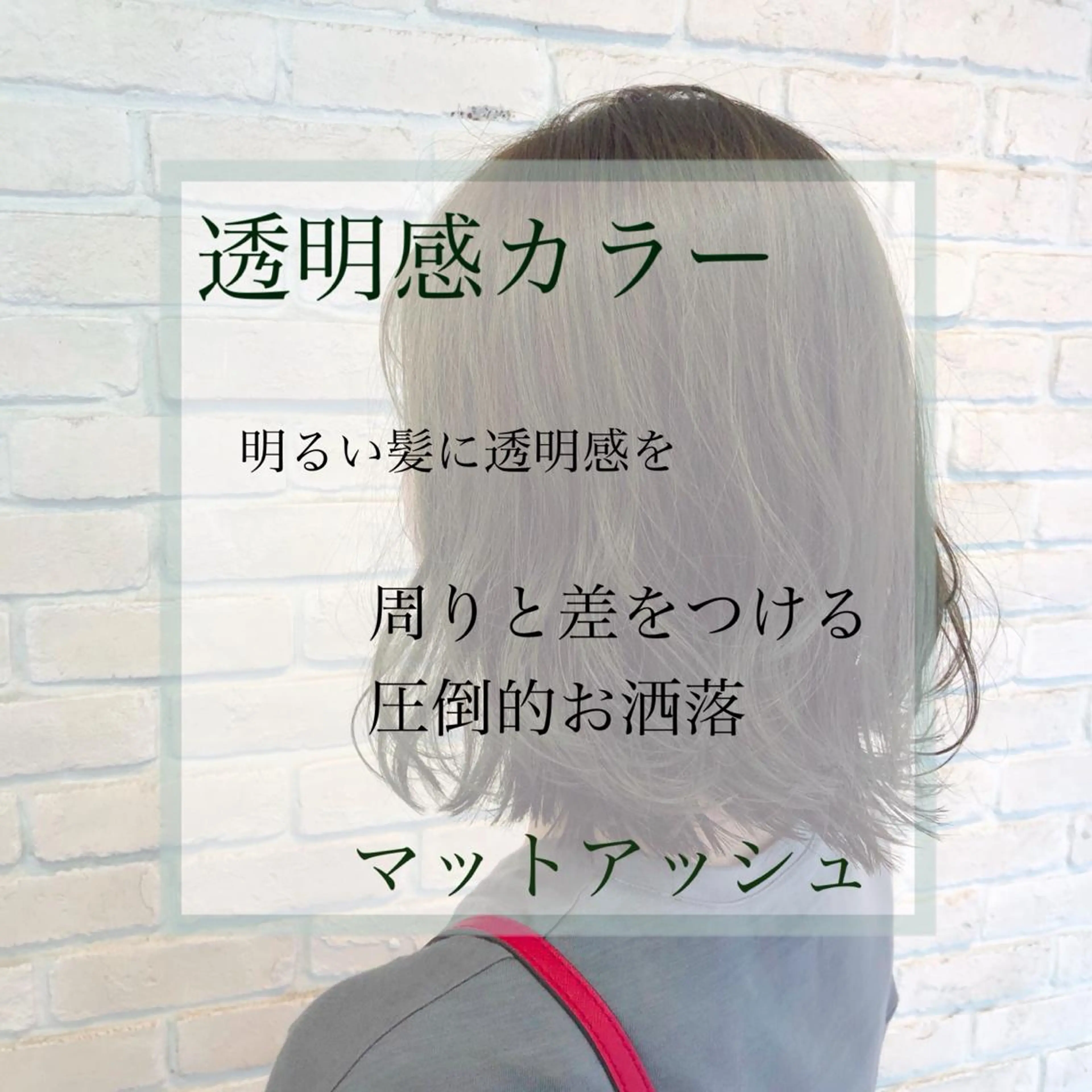 ミディアム カラー アッシュ ヘアカラー 🌺ウルフカット職人 新垣渚🐺のヘアスタイル