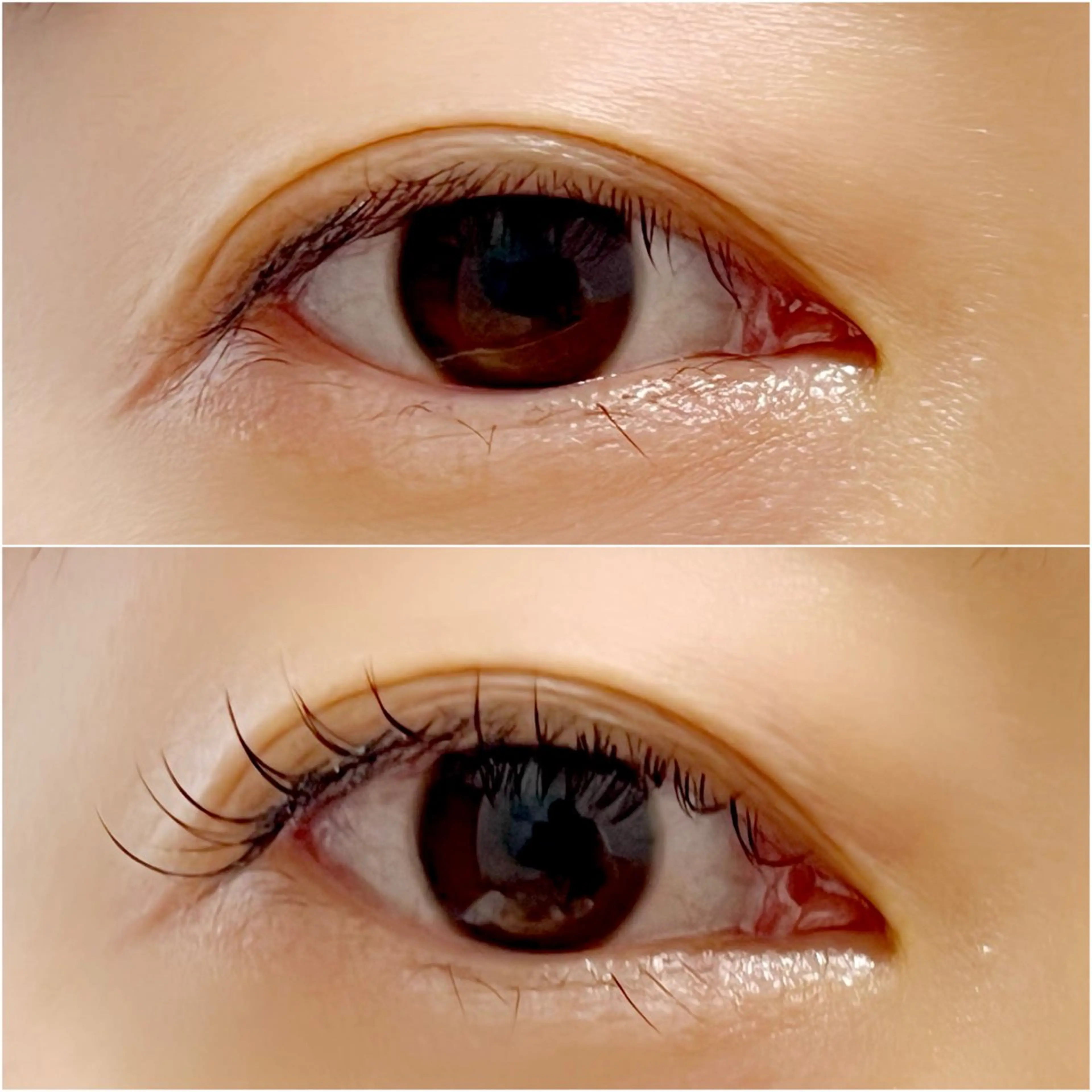 マツエク・マツパ Eyelash  Salon  Camellia所属・カメリア ワダのマツエク・マツパデザイン