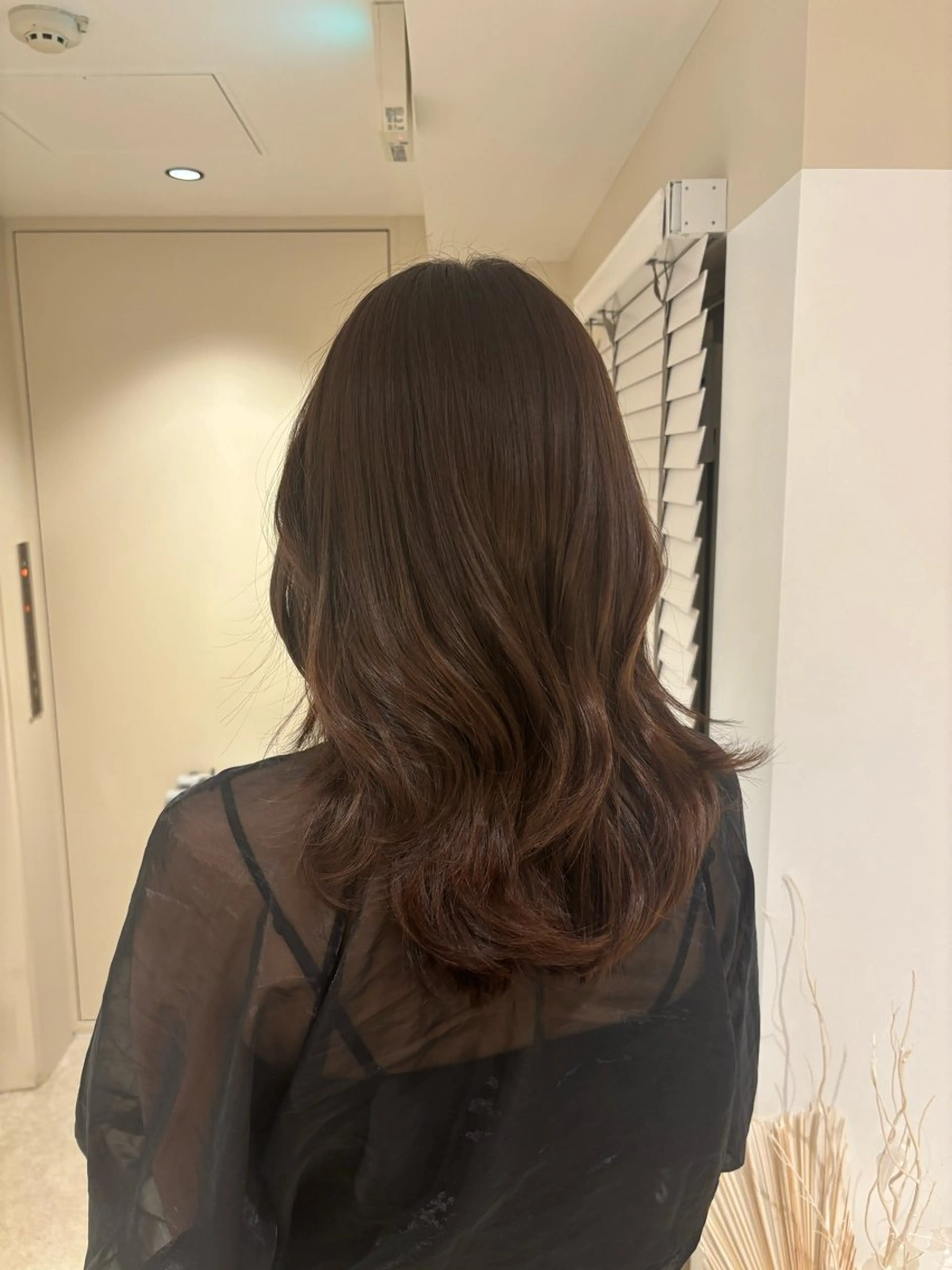 セミロング カラー 篠崎 加奈のヘアスタイル