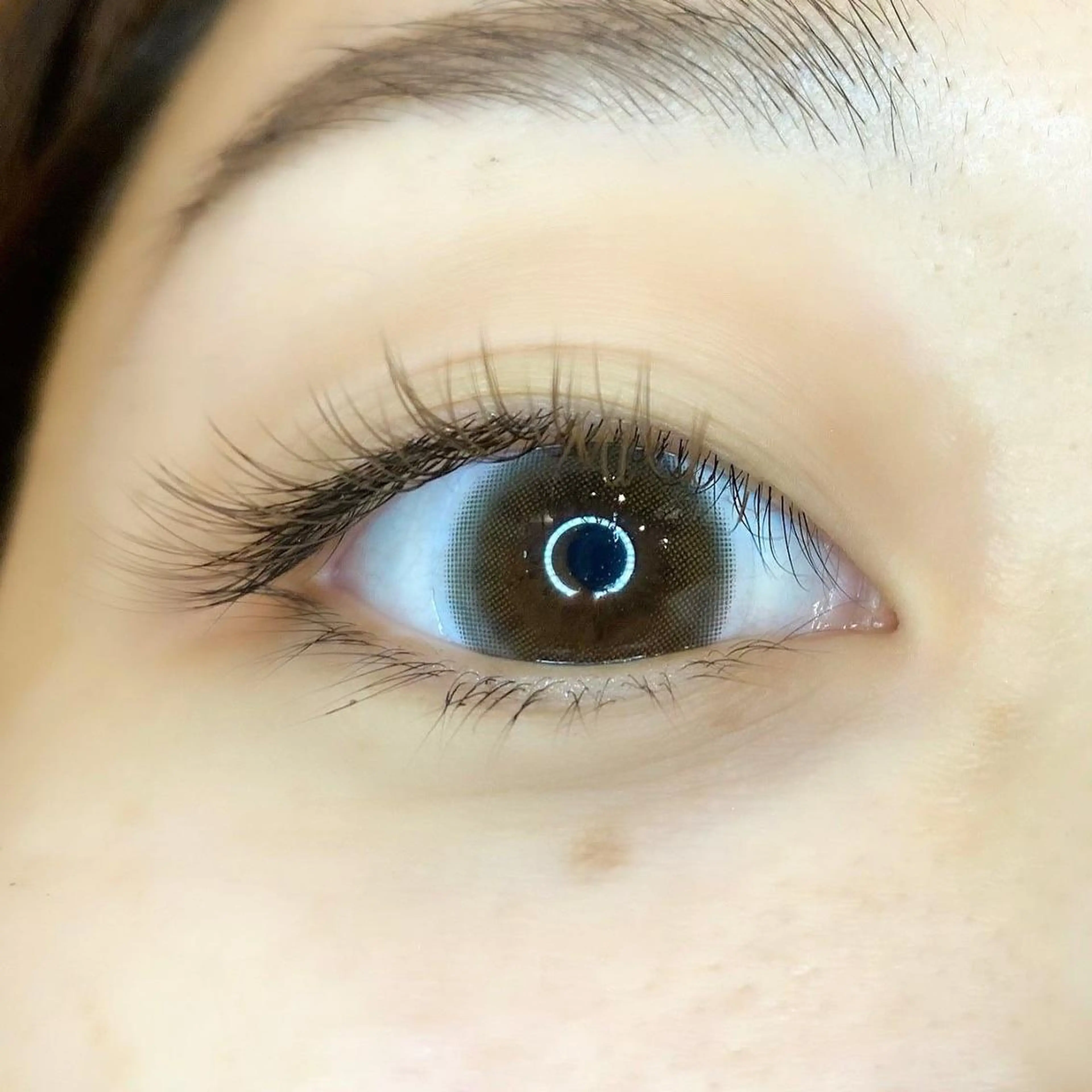 マツエク・マツパ カラーマツエク パリジェンヌラッシュリフト まつげパーマ KURUMI🦋 まつエクまつパ美眉のマツエク・マツパデザイン