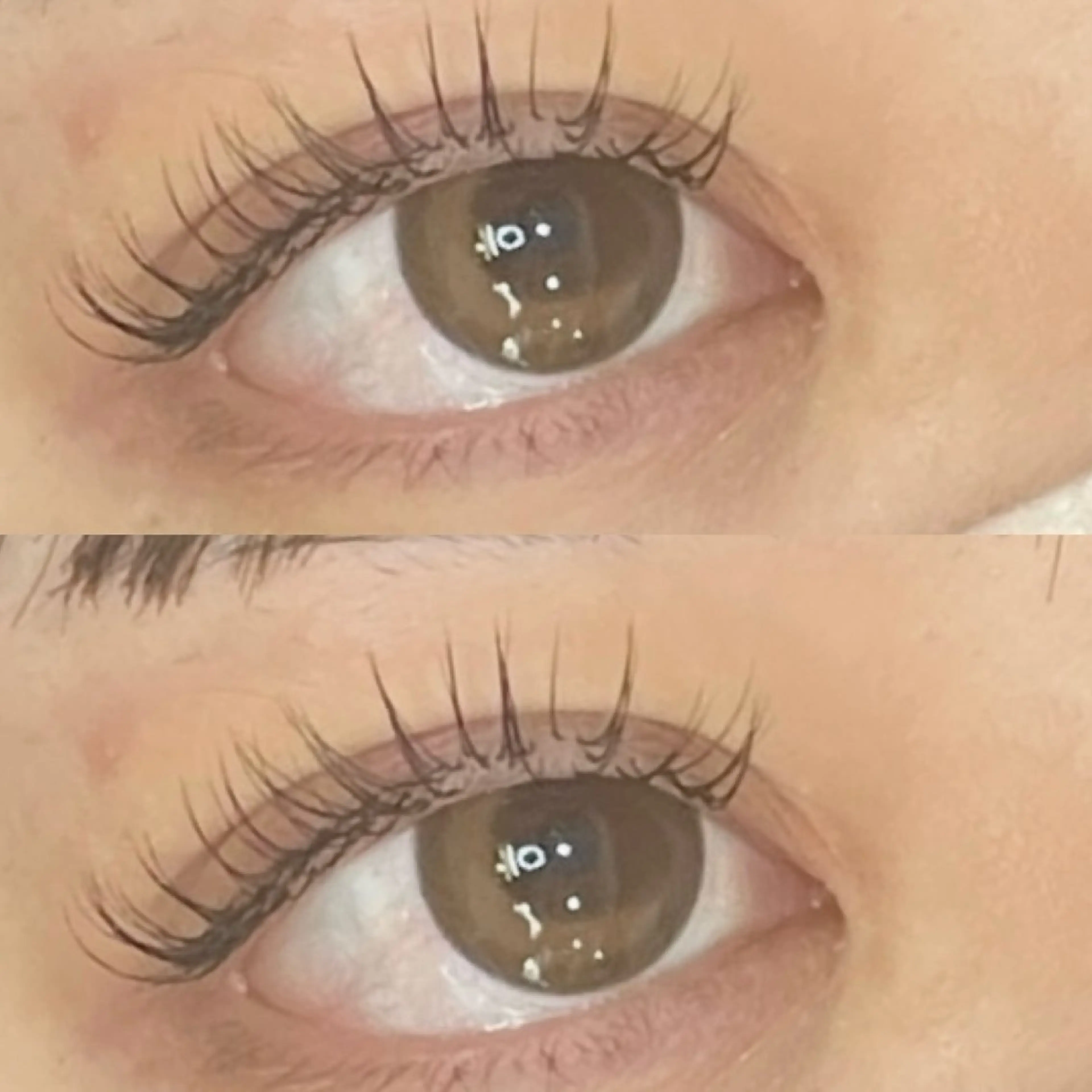 マツエク・マツパ Dカール マツエク Blossom 松木のマツエク・マツパデザイン