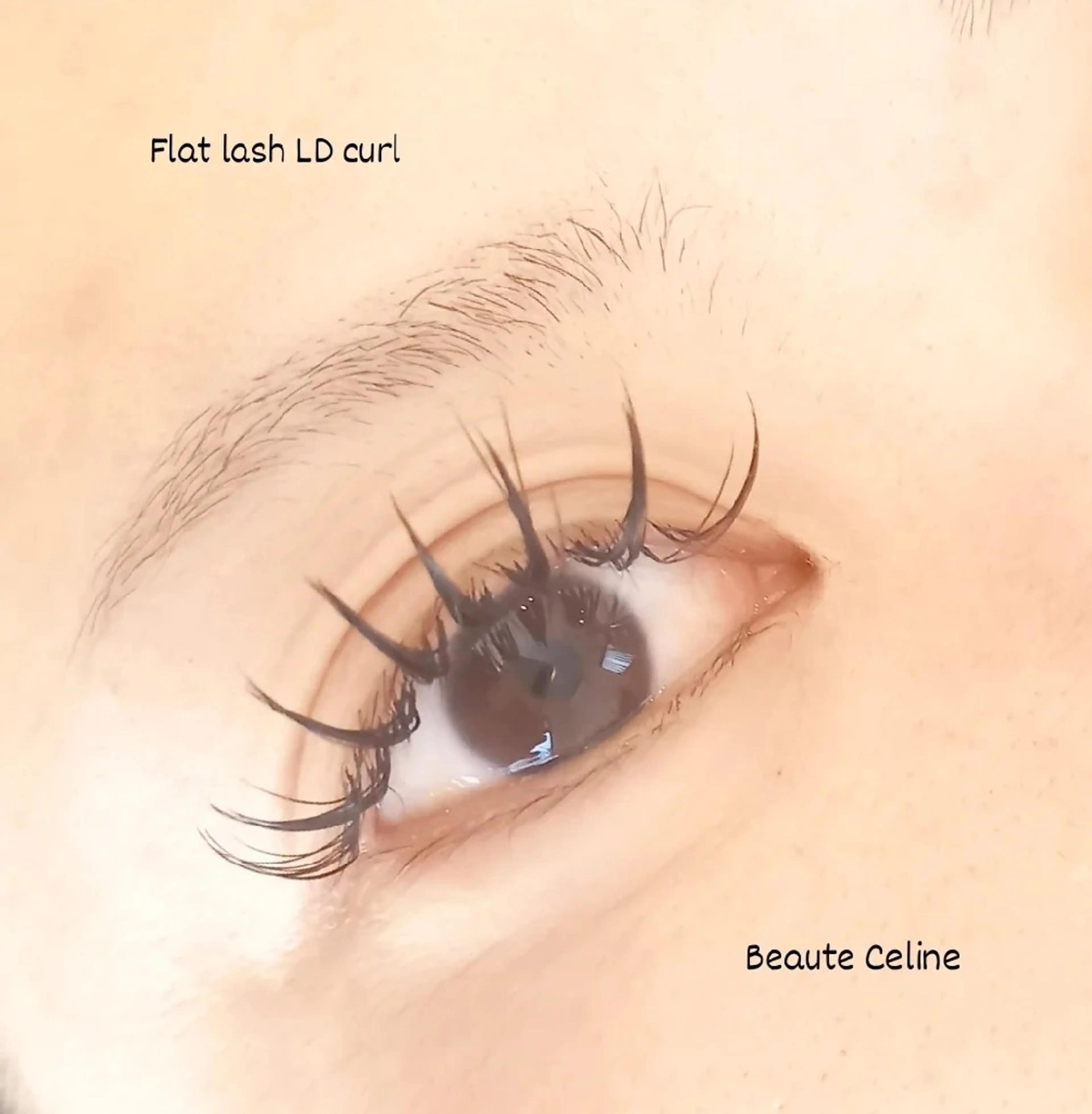 マツエク・マツパ マツエク beaute.celine所属・&healthy💜 ﾎﾞｰﾃCelineのマツエク・マツパデザイン