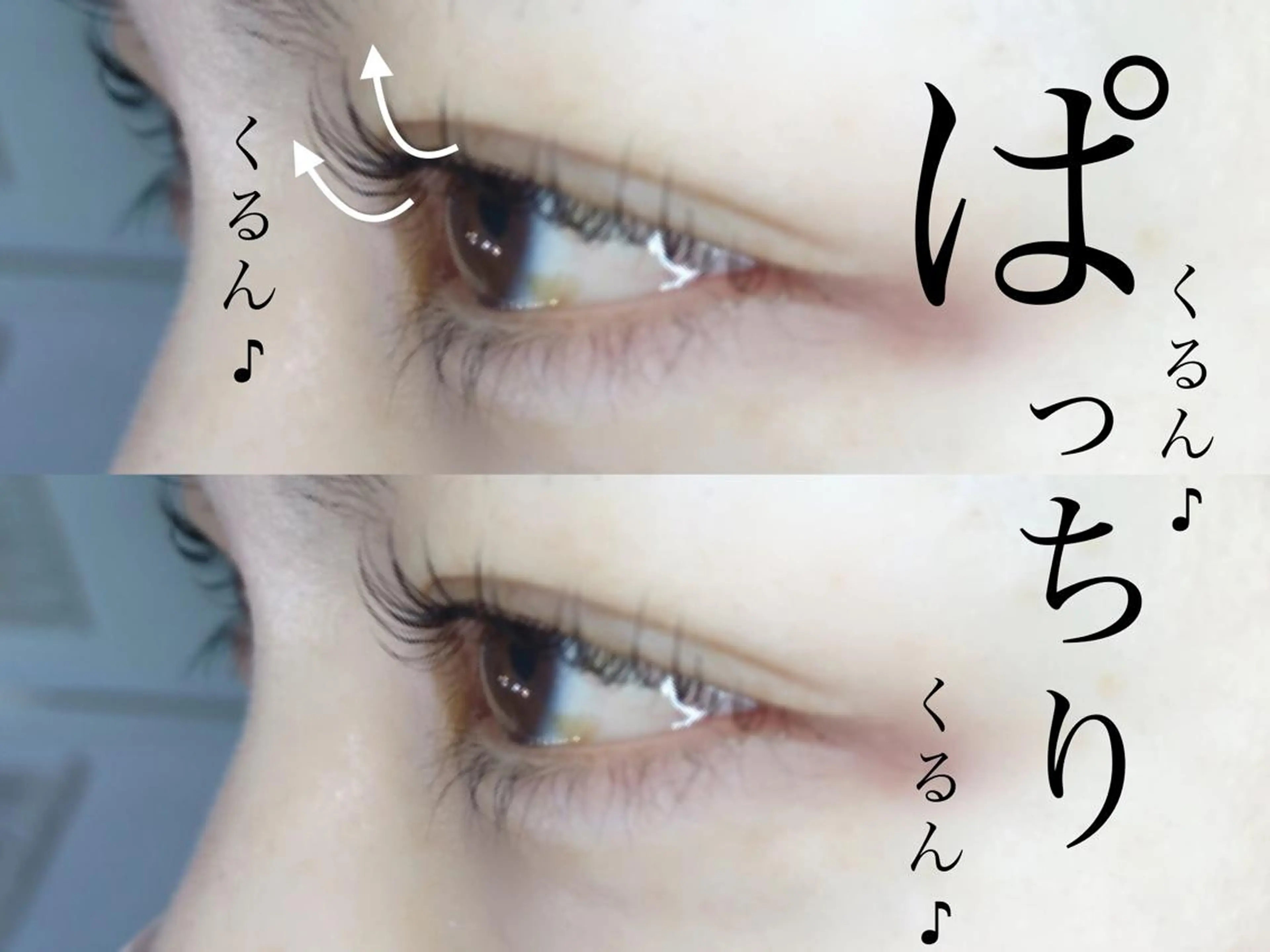マツエク・マツパ マツパ 《eyelash ｉｉｔｅ》森のマツエク・マツパデザイン