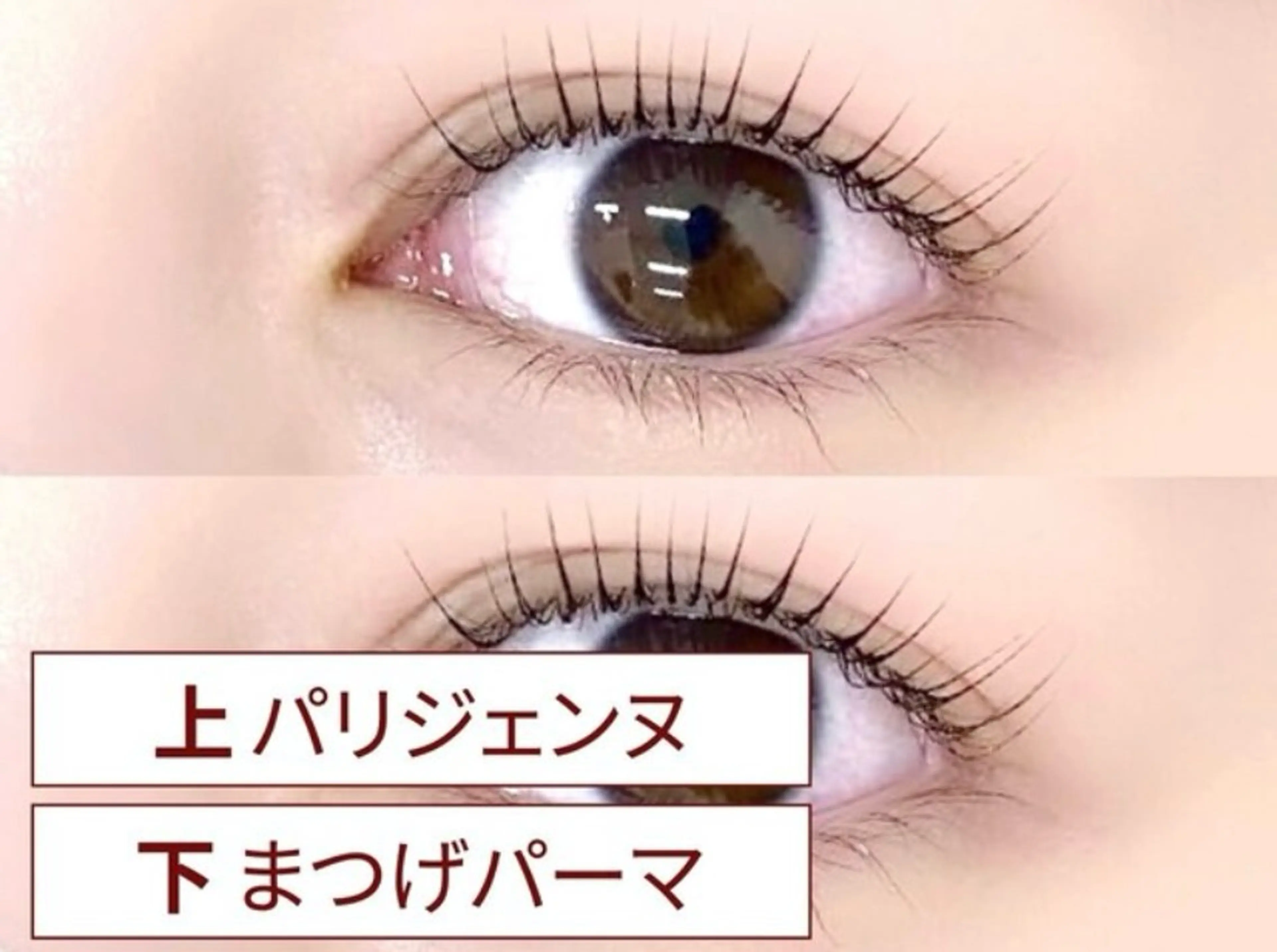 マツエク・マツパ alicetokyo 樋口の眉毛・アイブロウイメージ