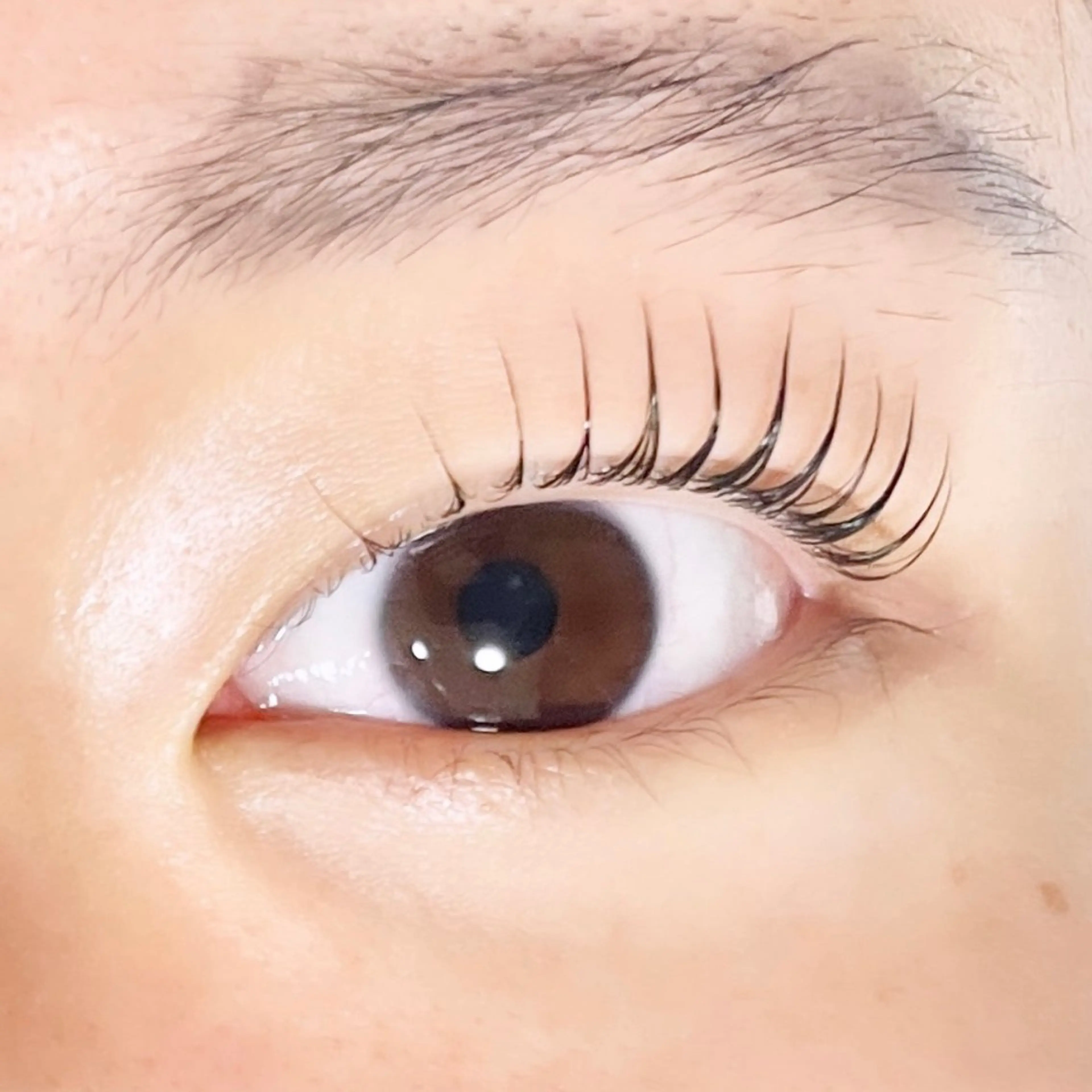 マツエク・マツパ TAKEO🖤 マリーテレジア藤が丘のマツエク・マツパデザイン