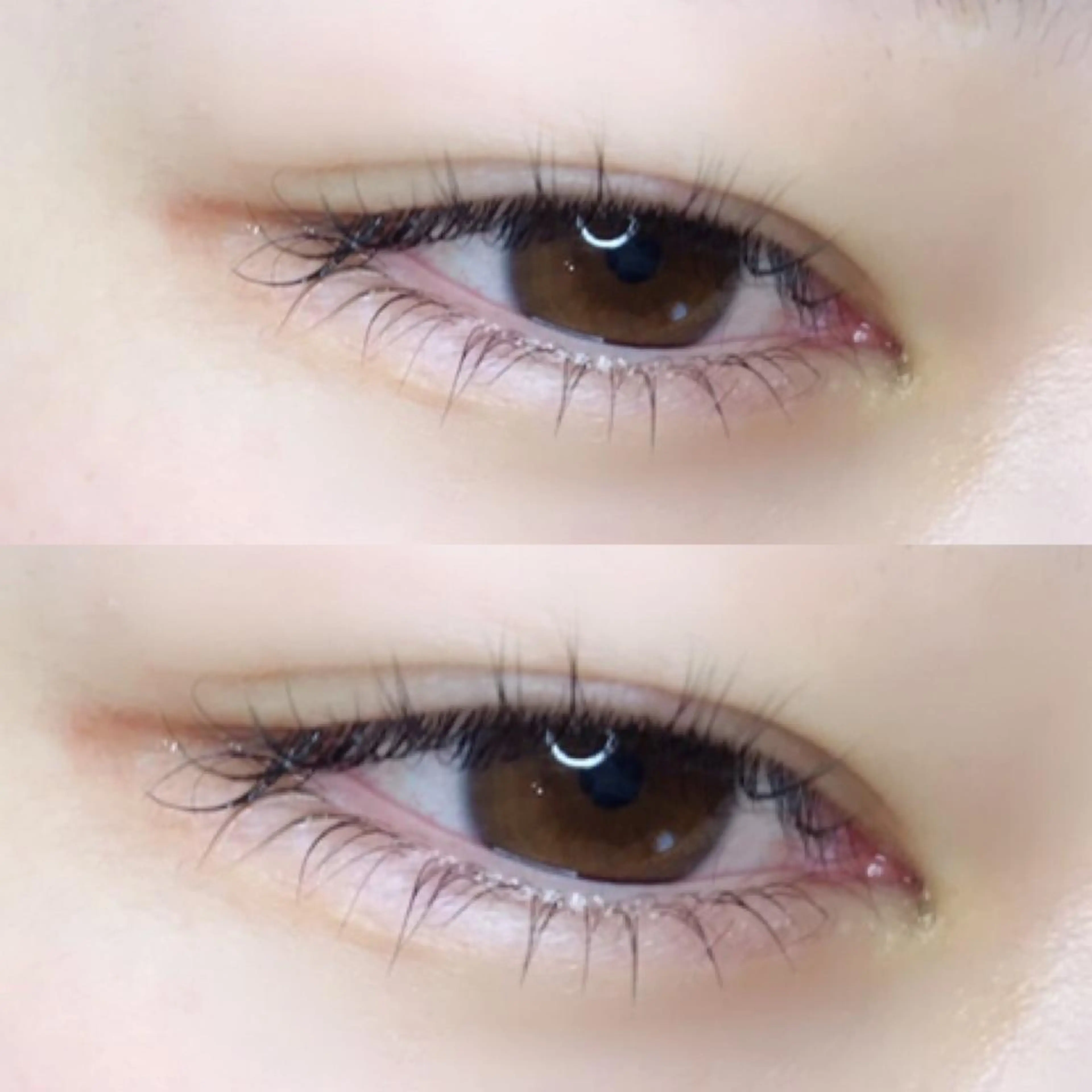 マツエク・マツパ マツパ 《eyelash ｉｉｔｅ》森のマツエク・マツパデザイン