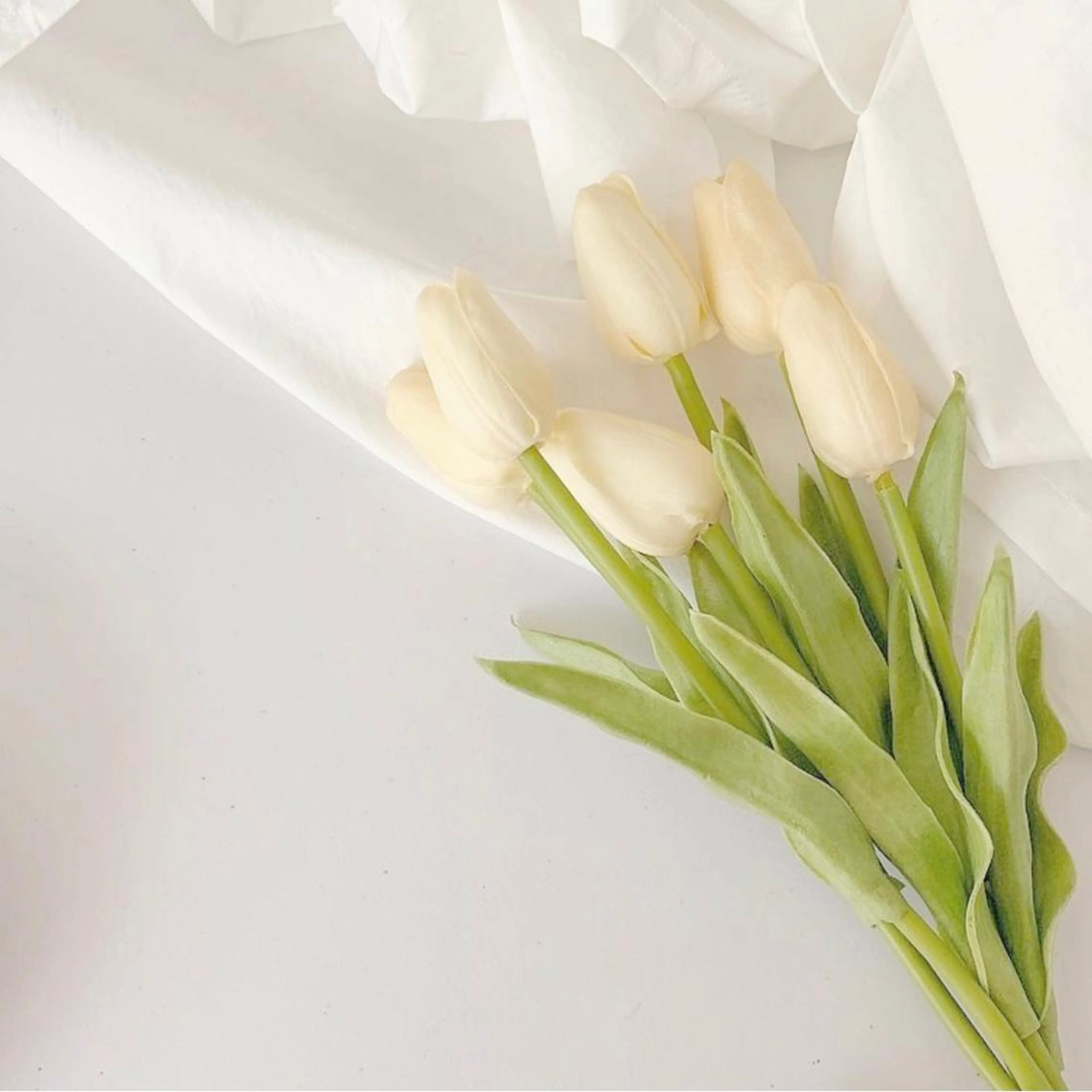 ミディアム カラー カット ヘアカラー トリートメント 中屋恵美🎨 Designカラーのヘアスタイル