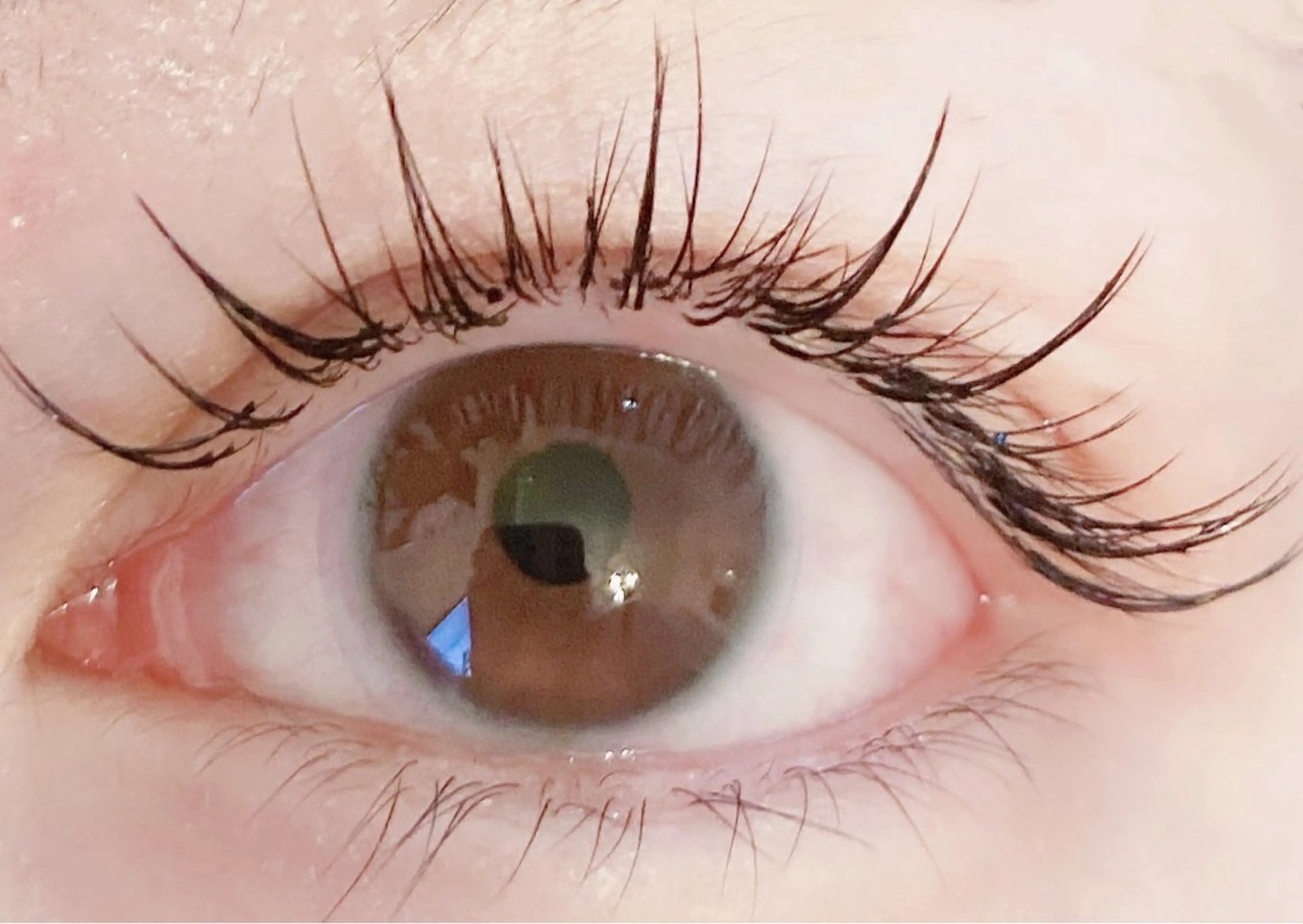 セーブルエクステ60本の写真