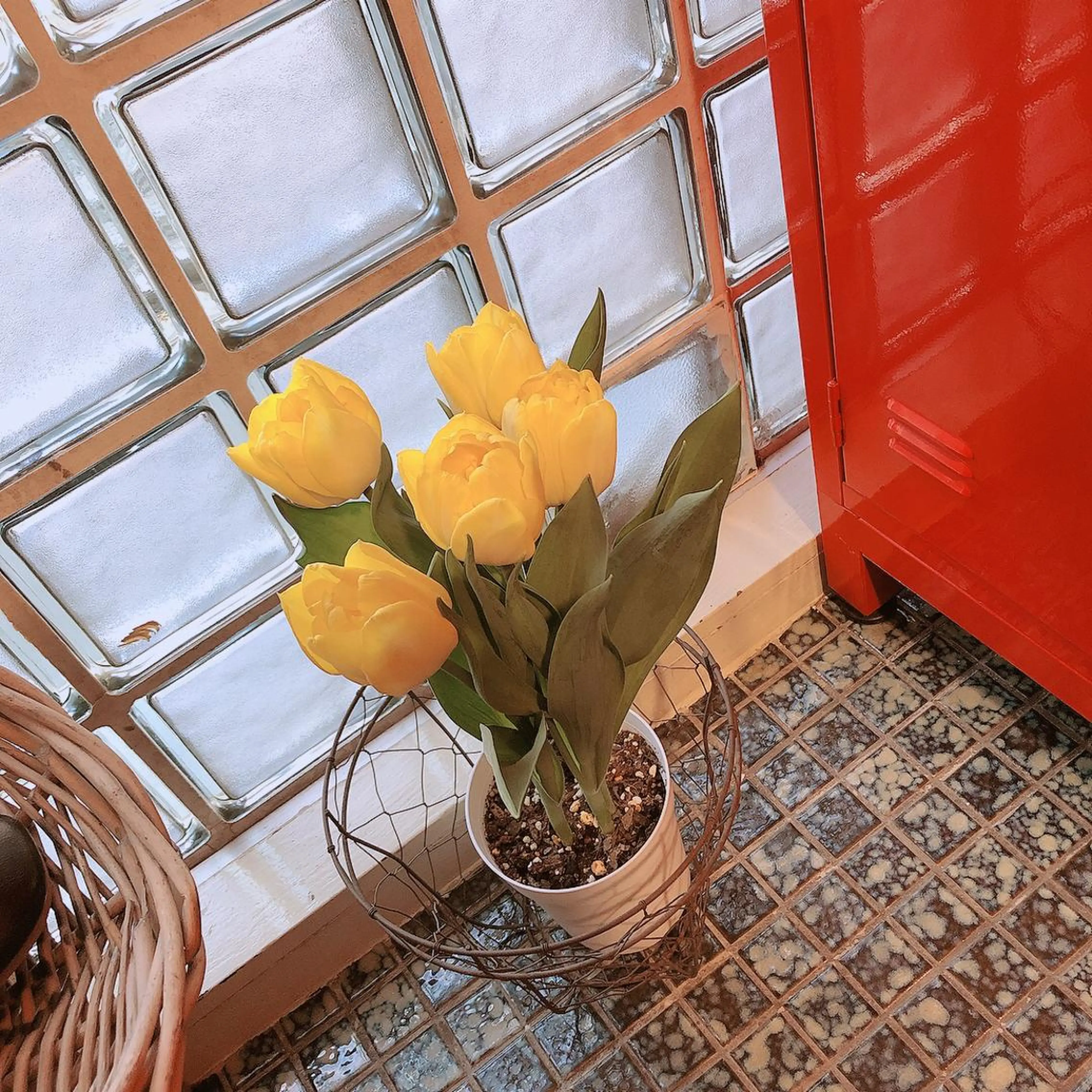 マツエク・マツパ なかむら 🪡の眉毛・アイブロウイメージ