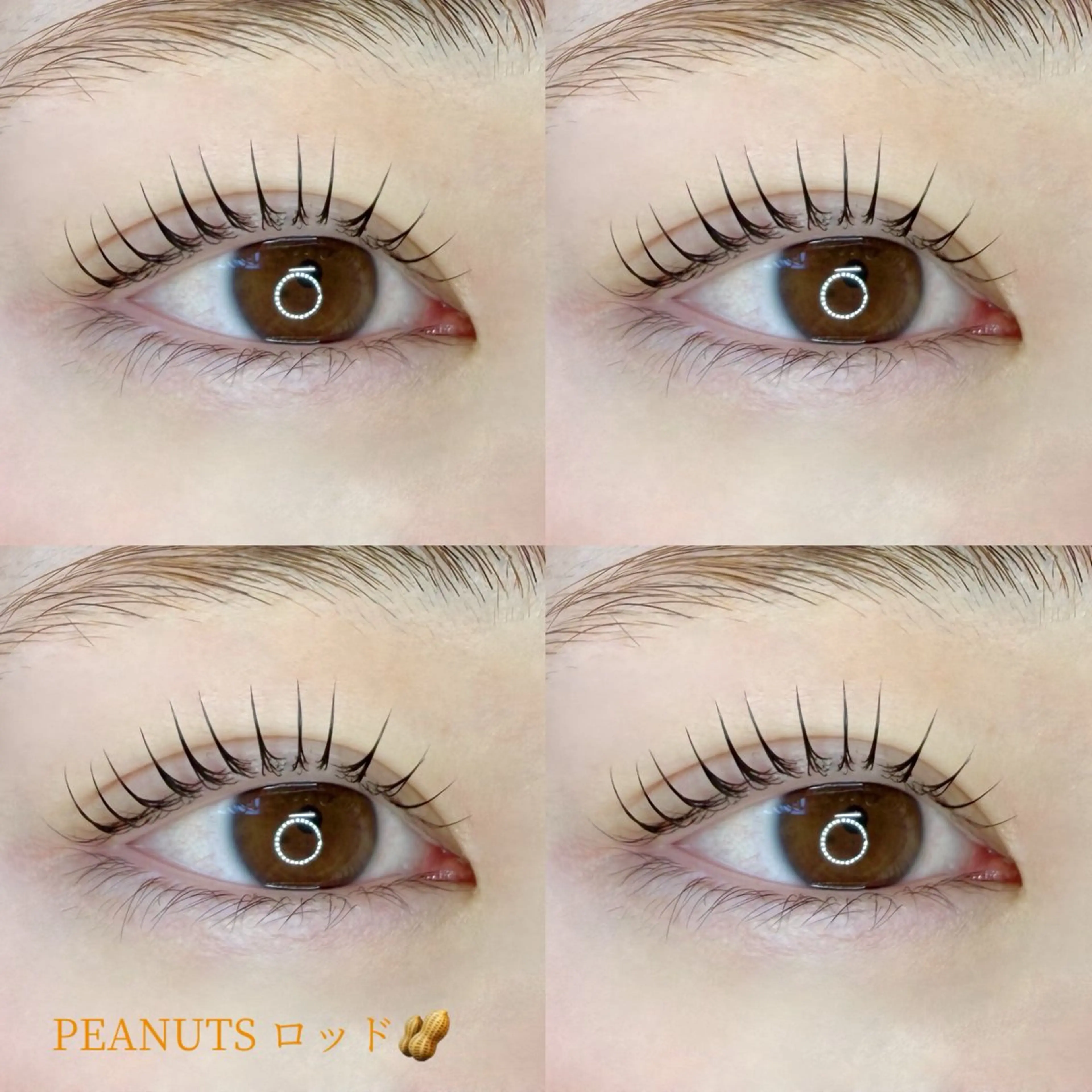 🎀選べるデザインまつ毛パーマorパリジェンヌ🐈の写真