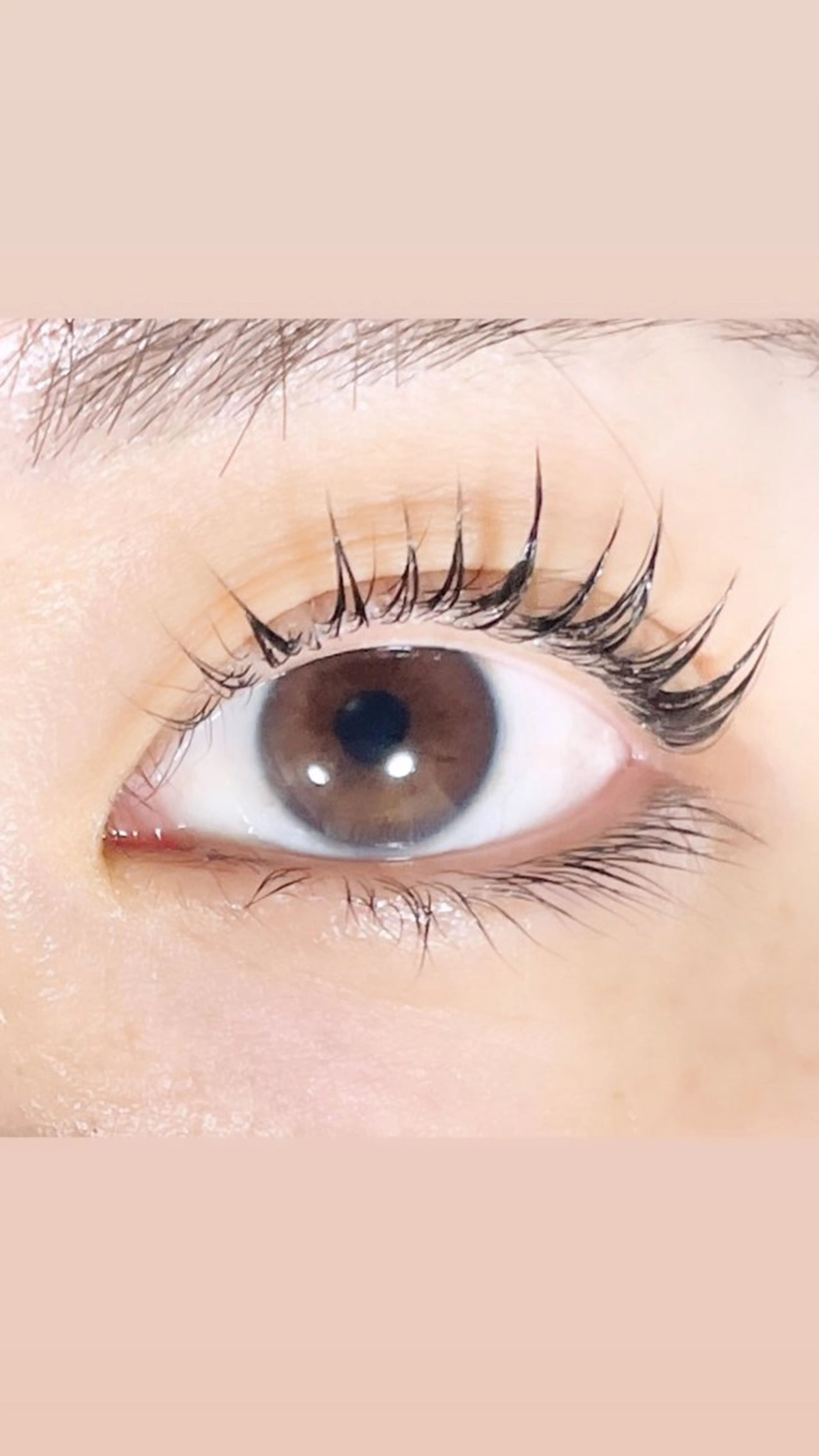 マツエク・マツパ TAKEO🖤 マリーテレジア藤が丘のマツエク・マツパデザイン