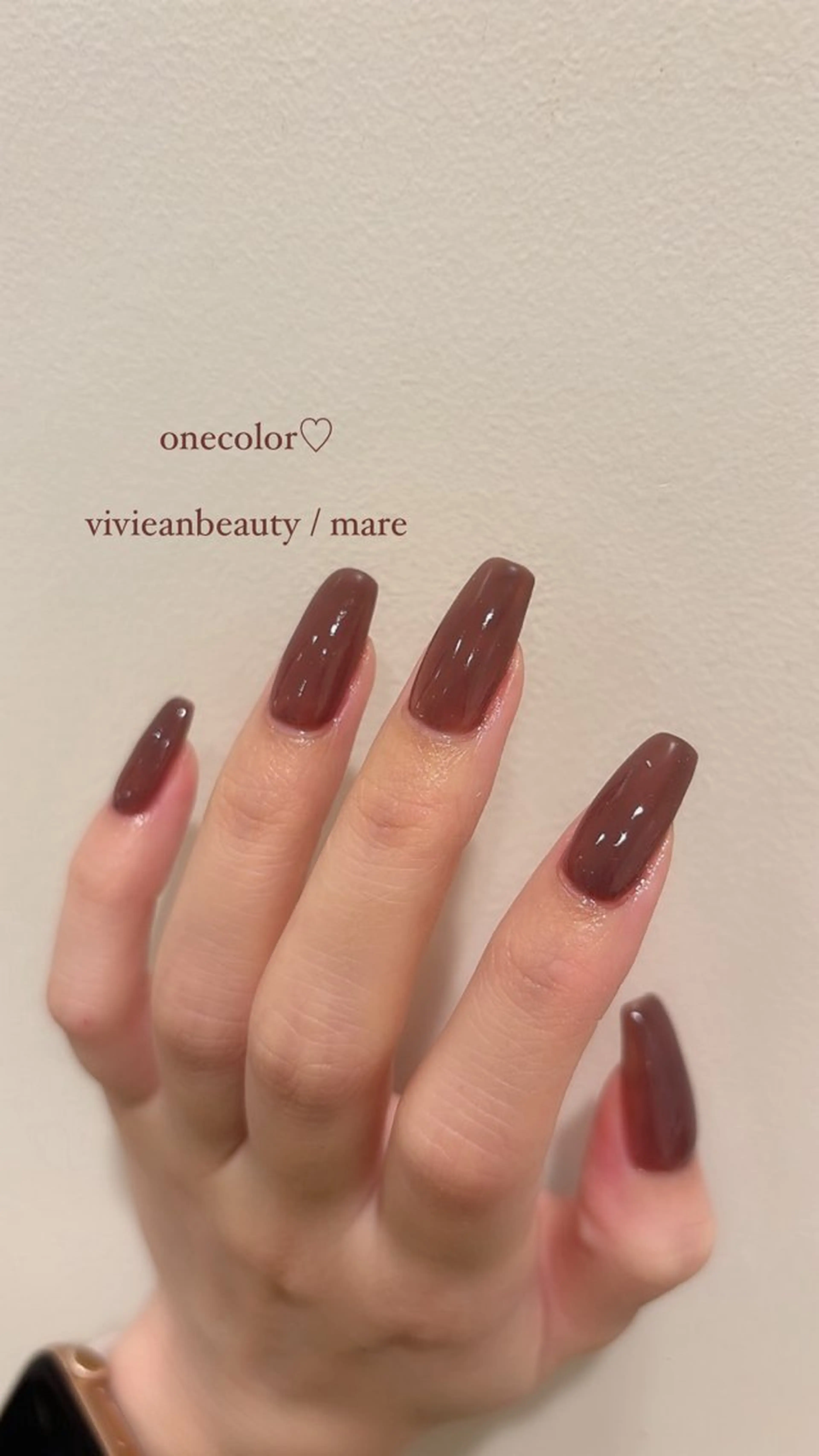 ワンカラーの写真