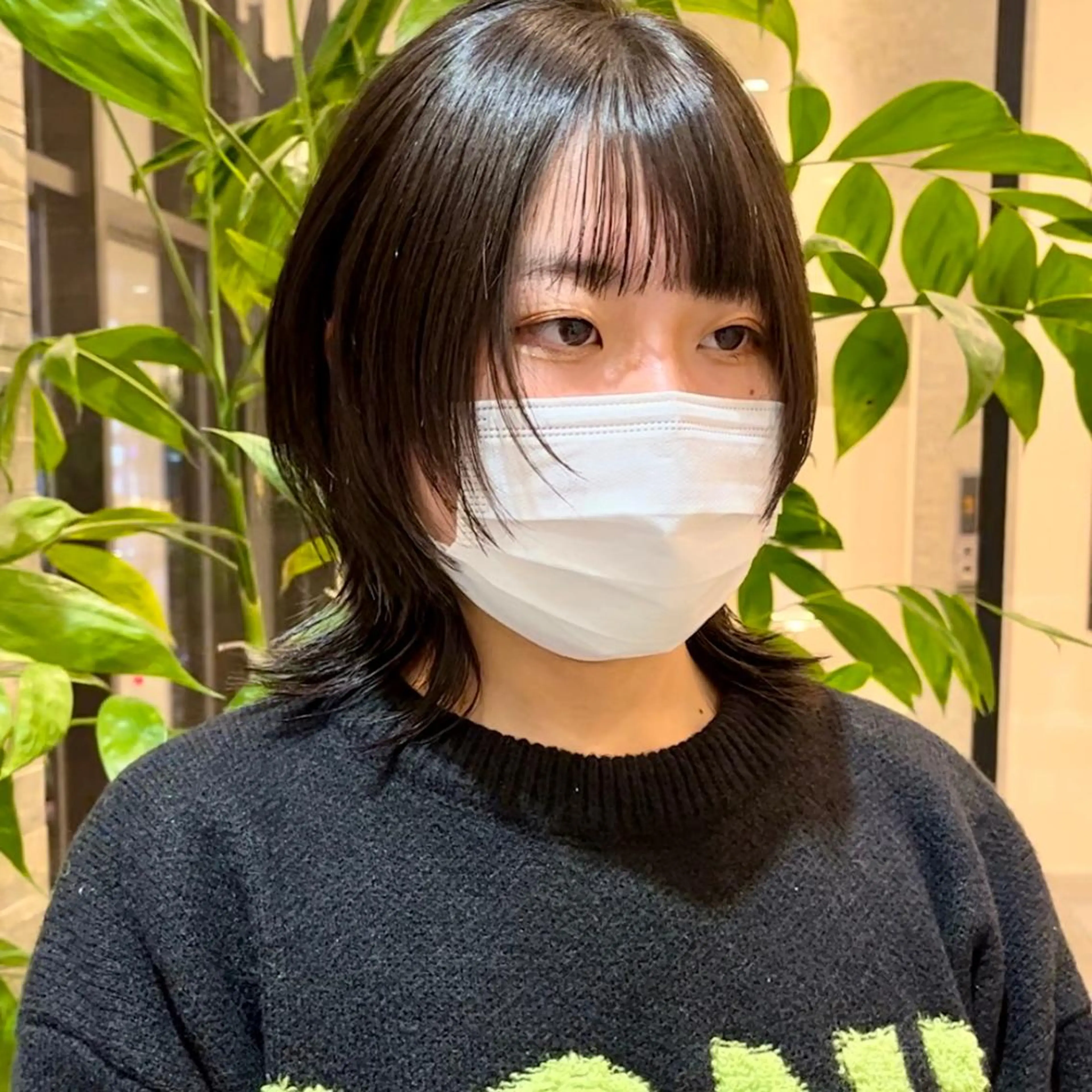 ミディアム 大阪ウルフカット 🐺デザインカラーのヘアスタイル