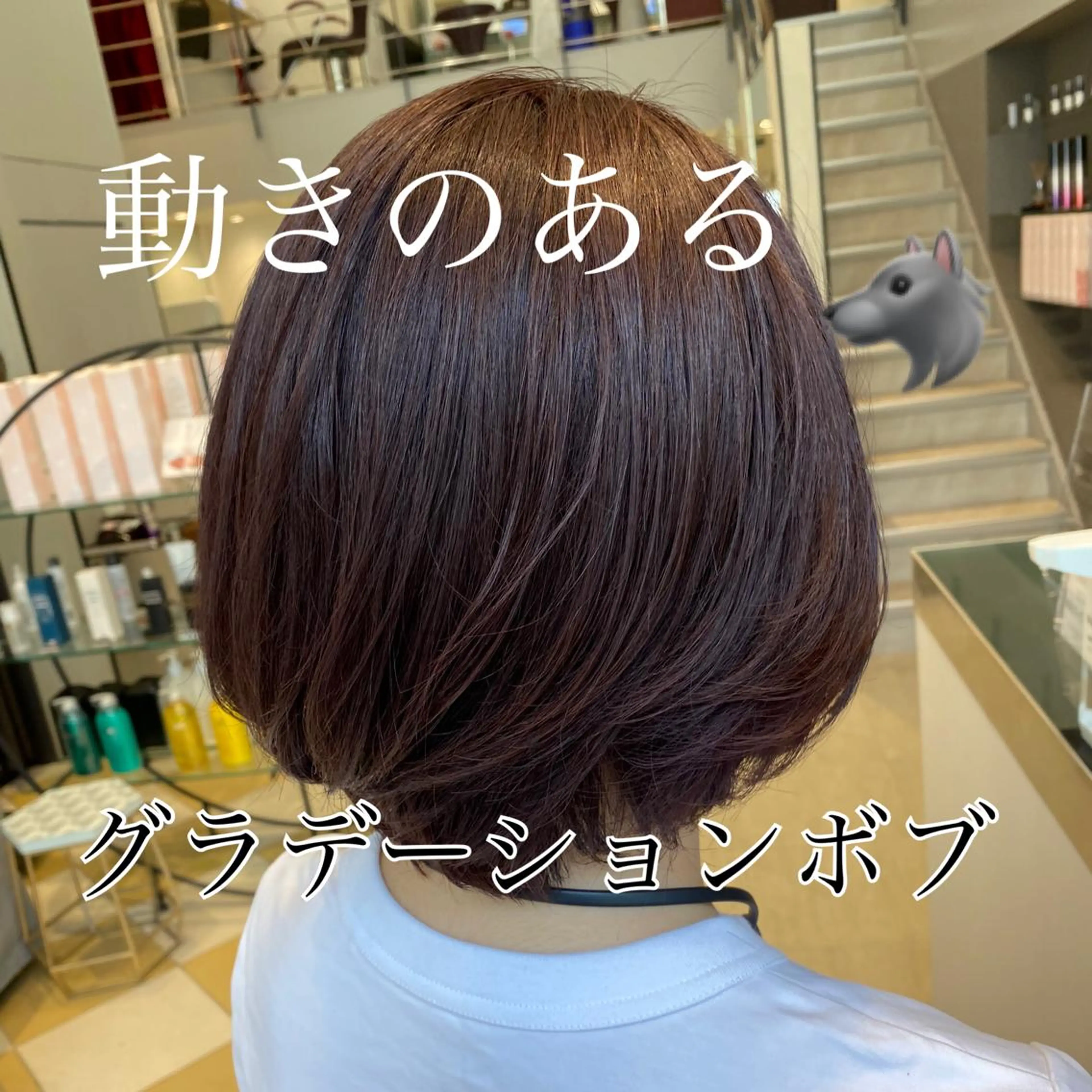 ショート カラー グラデーションカラー ボブ Kou所属・💜髪質改善美髪💜 星野清光のヘアスタイル