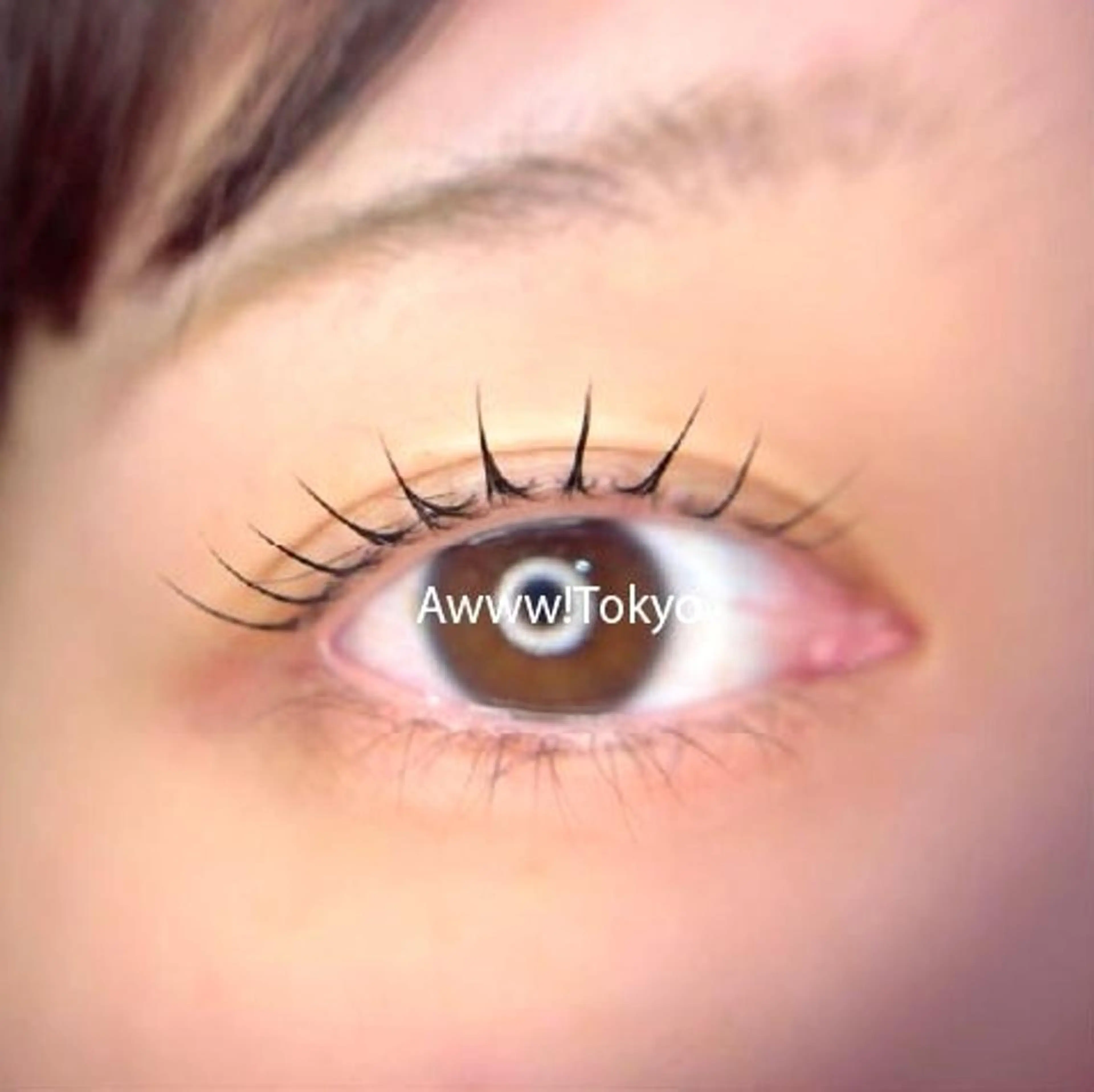 【リピーター様】まつ毛パーマ　しっかりカウンセリング×似合わせまつ毛をご提案。コーティング束感仕上げ✨の写真