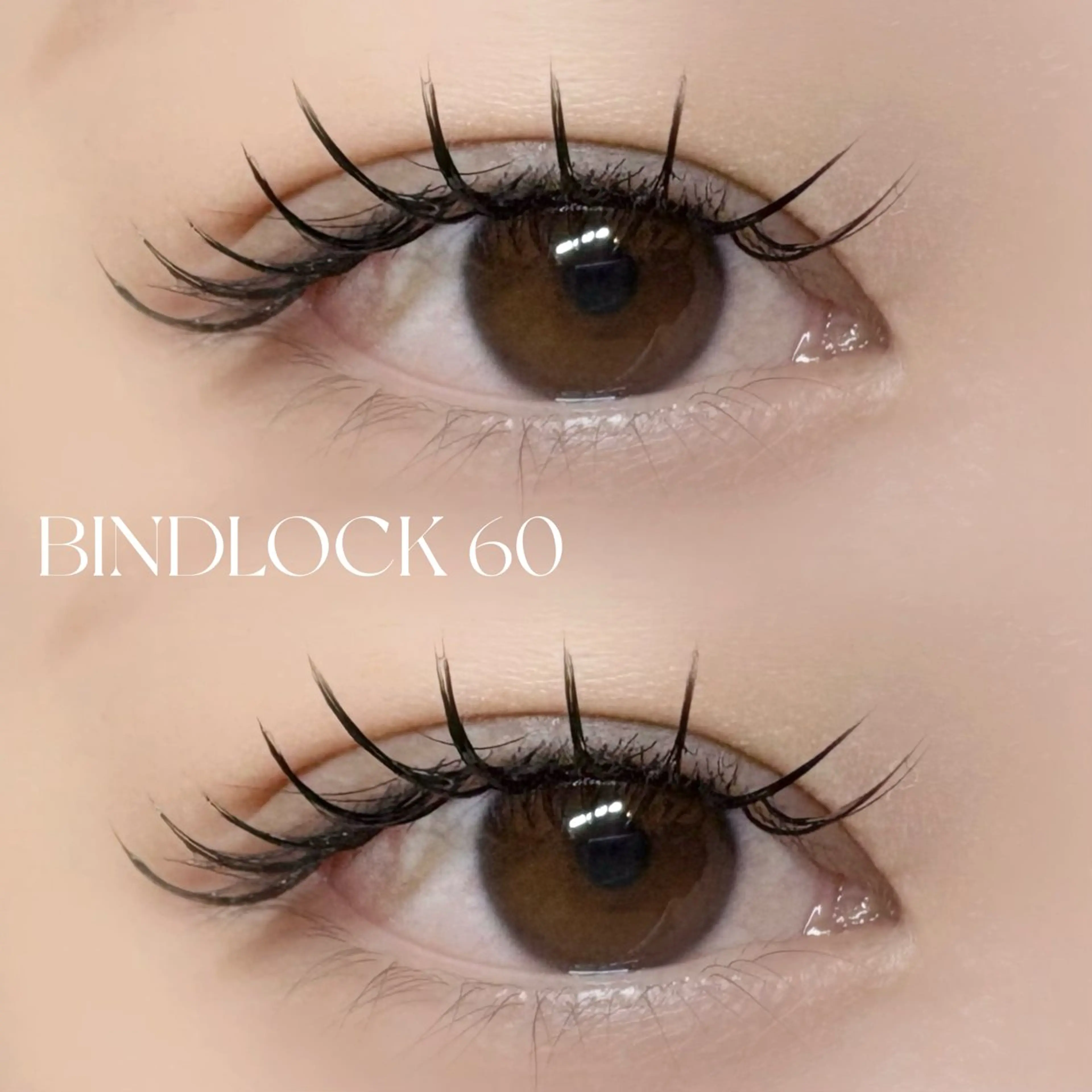 【圧倒的持続力⛓】バインドロック🔒80.100束の写真