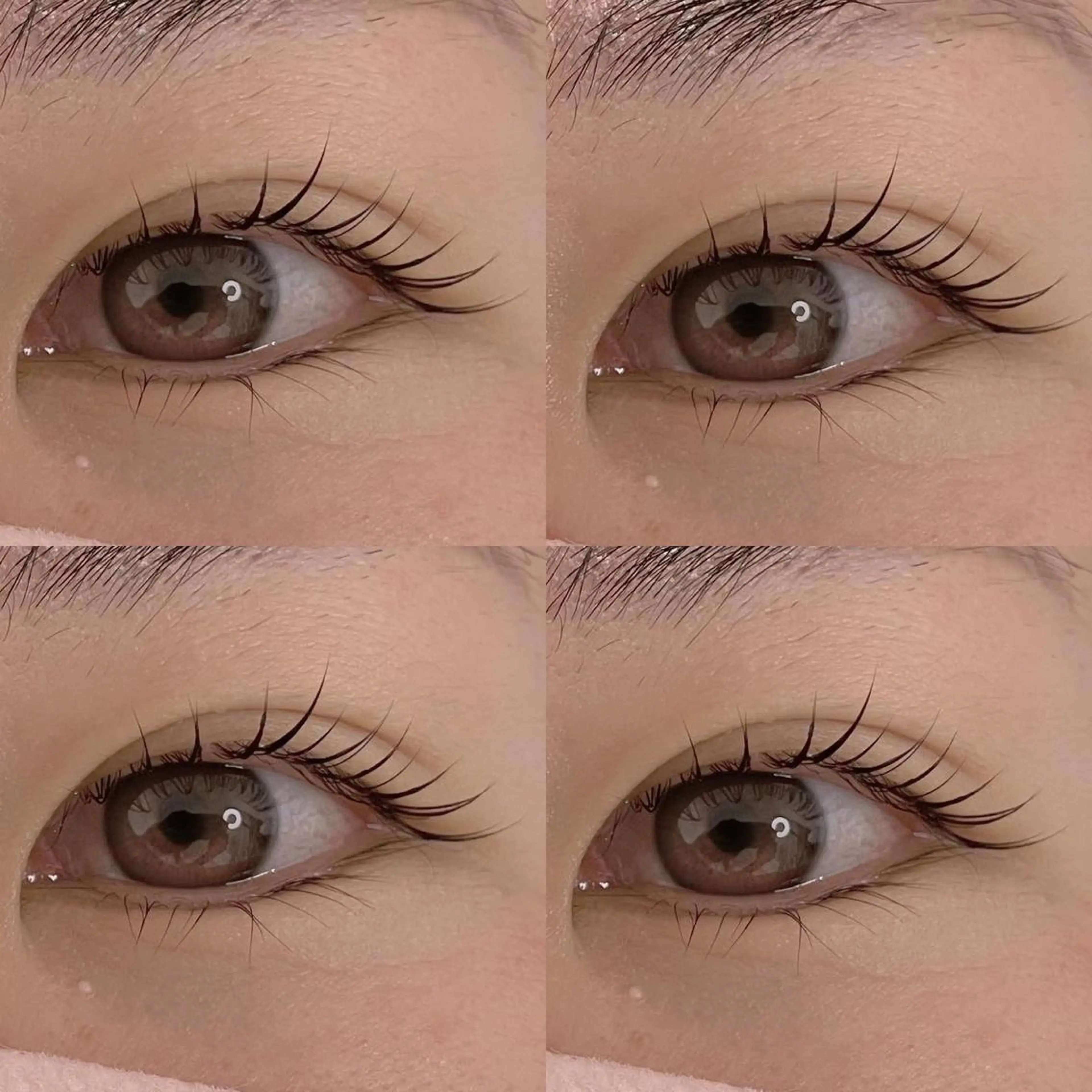 ãããšã¯ã»ããã ããã ððŒððð ððžðâã®ãããšã¯ã»ããããã¶ã€ã³