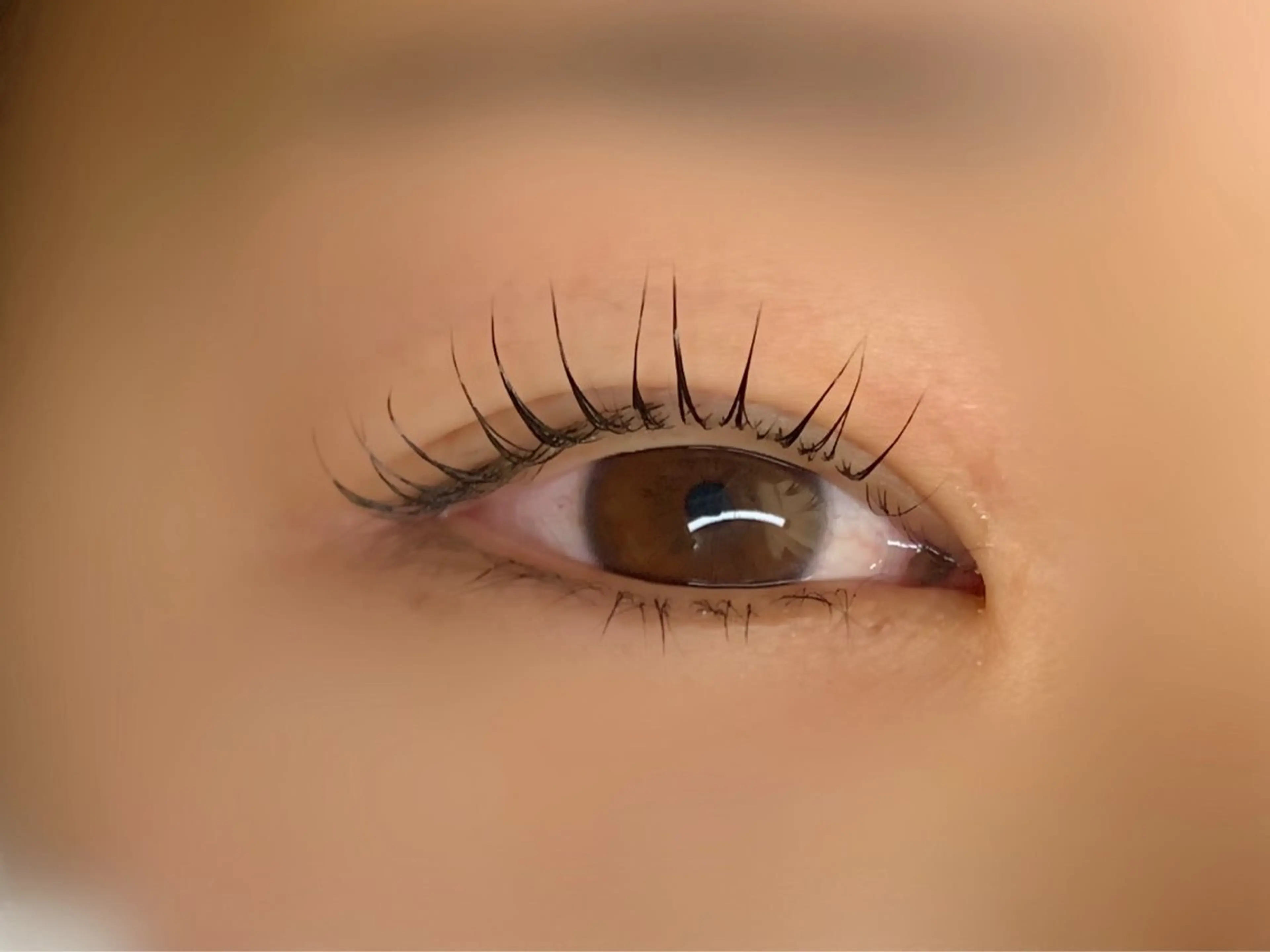 まつ毛パーマ【アイドルまつ毛/韓国発ピーナッツロッド】の写真