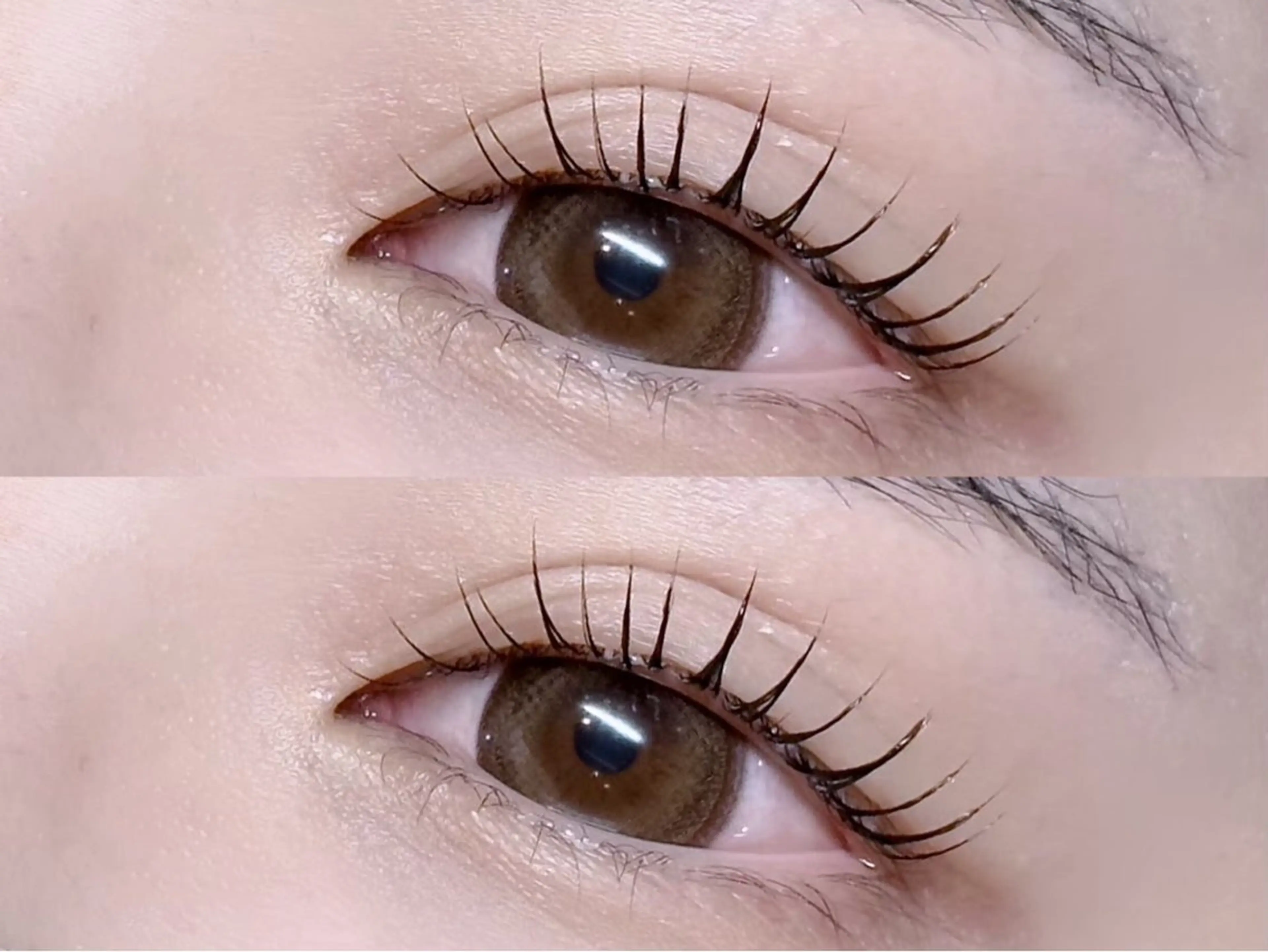 マツエク・マツパ 一重×まつ毛パーマ TOPBROW天王寺店所属・topbrow / moe🦙♡のマツエク・マツパデザイン