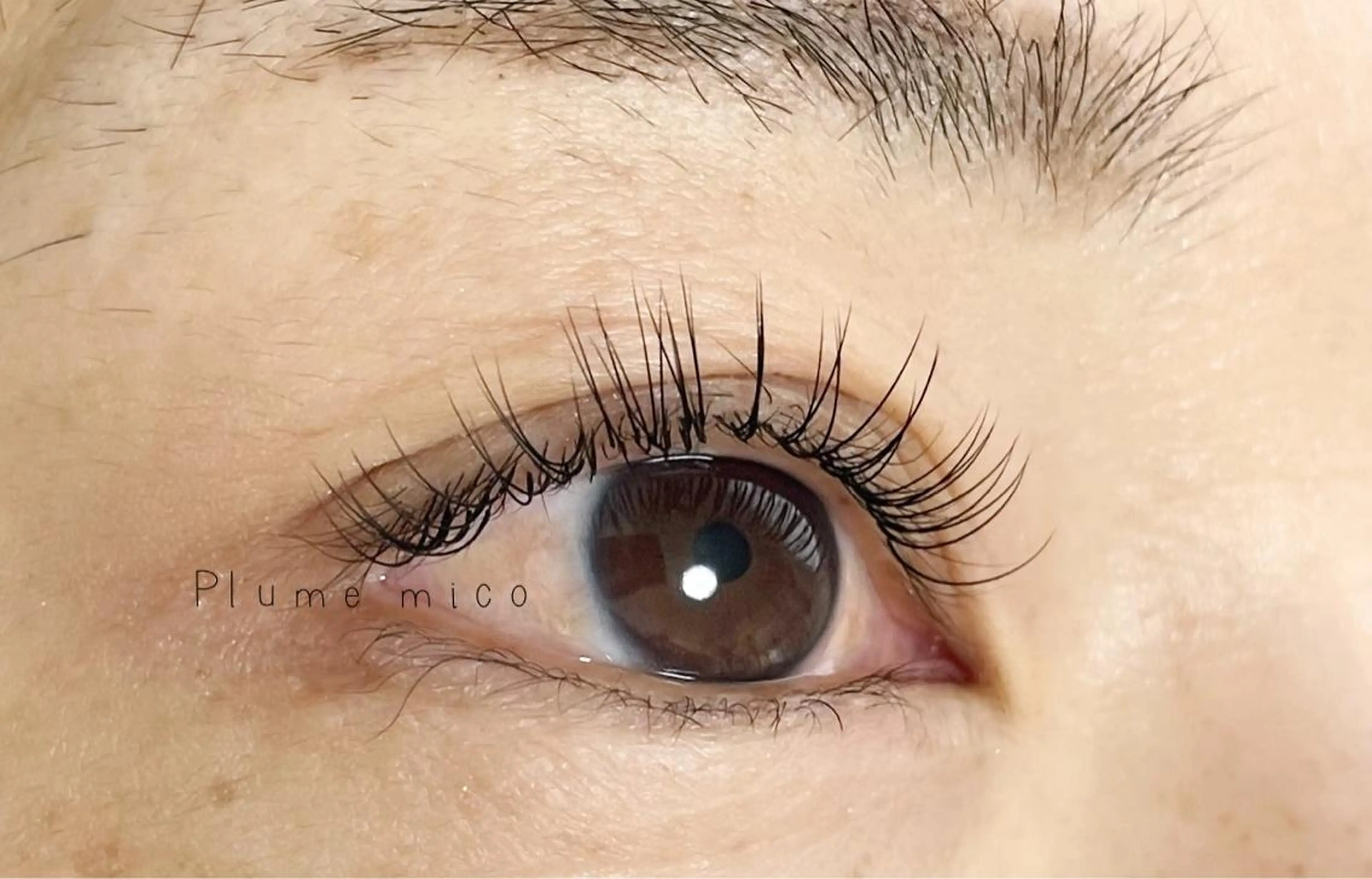 マツエク・マツパ マツエク Plume micoのマツエク・マツパデザイン