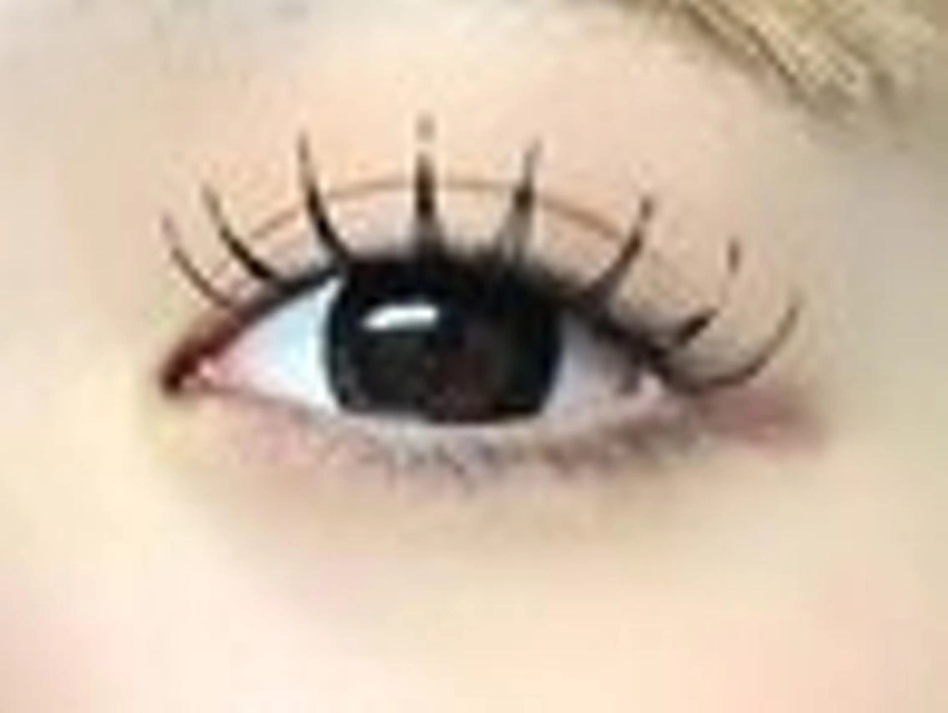 【1名限定/1,000円モデル】上セーブルラッシュ120本の写真