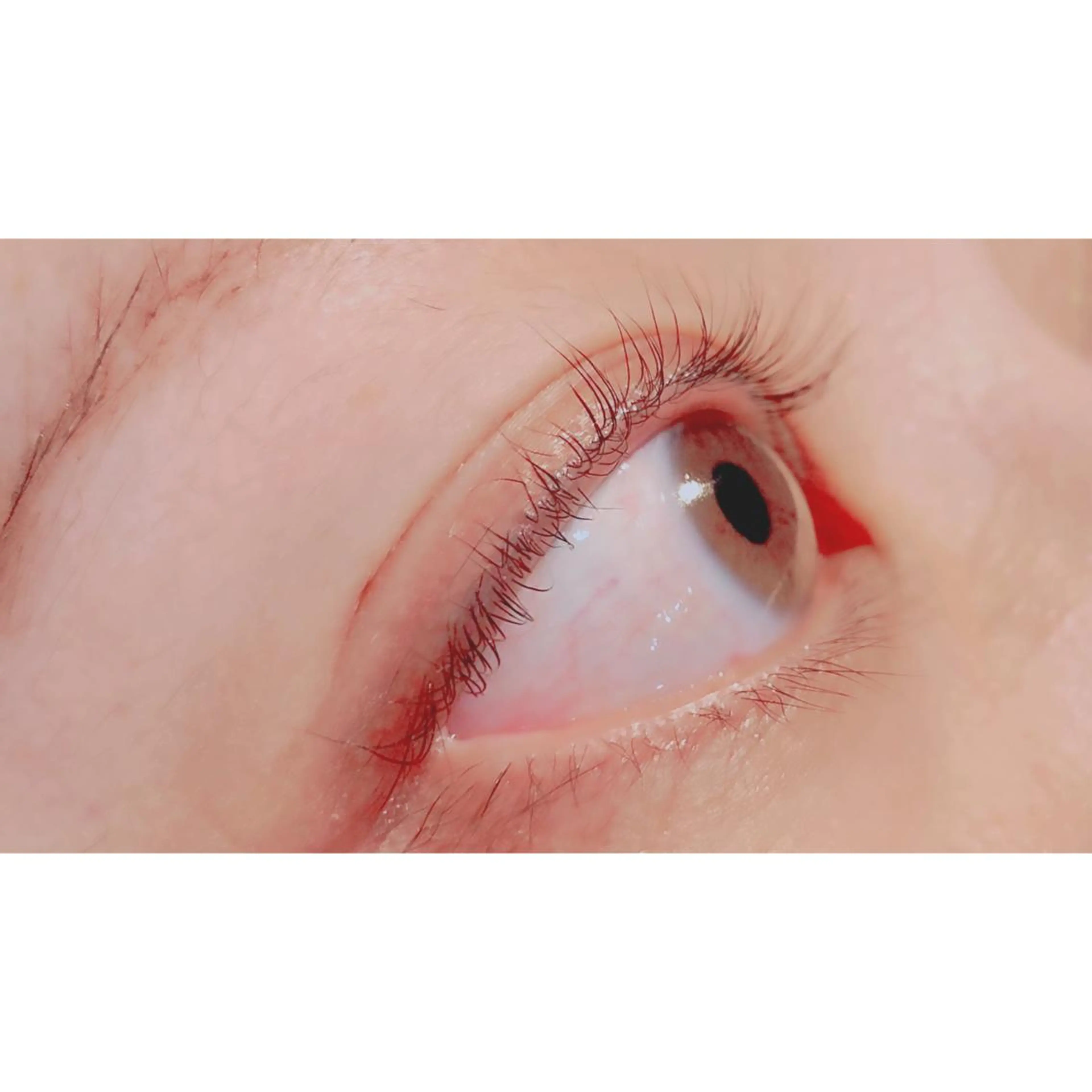 マツエク・マツパ パリジェンヌラッシュリフト Bianca 長津田店 長牛のマツエク・マツパデザイン