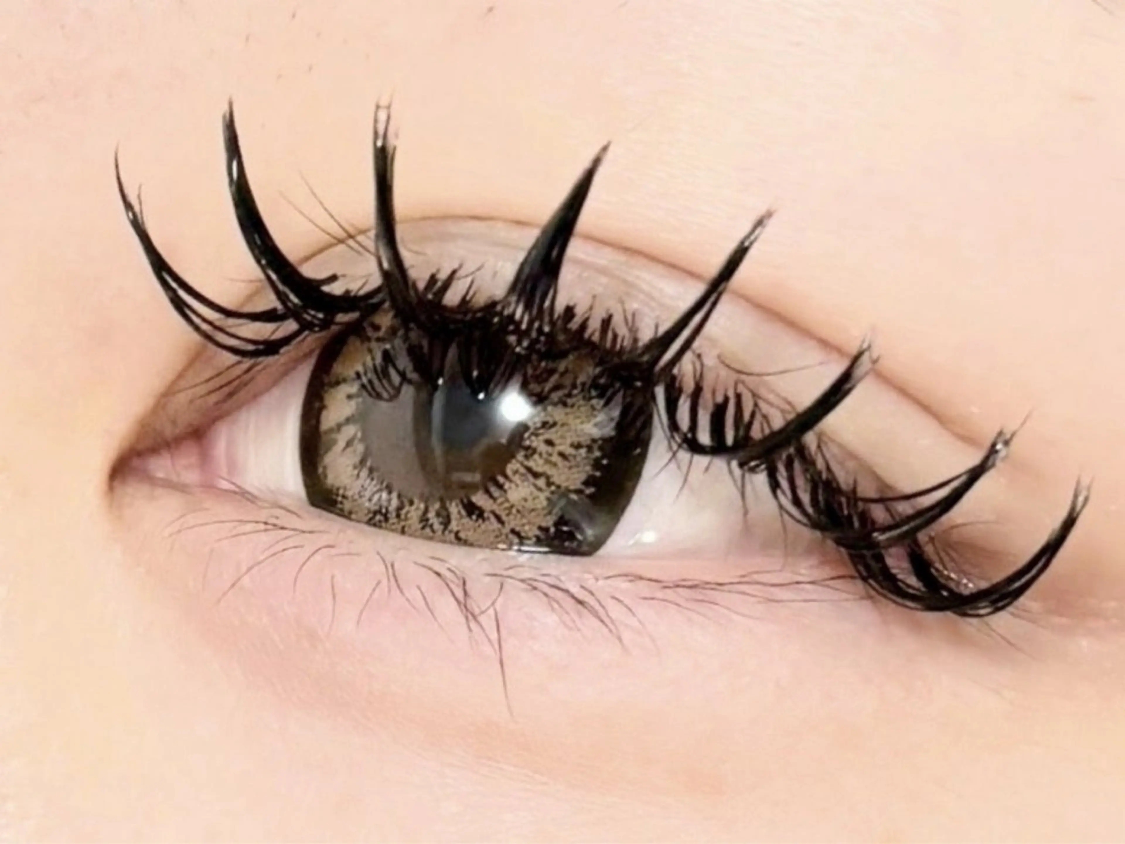 ◆11月限定◆バインドロック80束(オフ込み)の写真