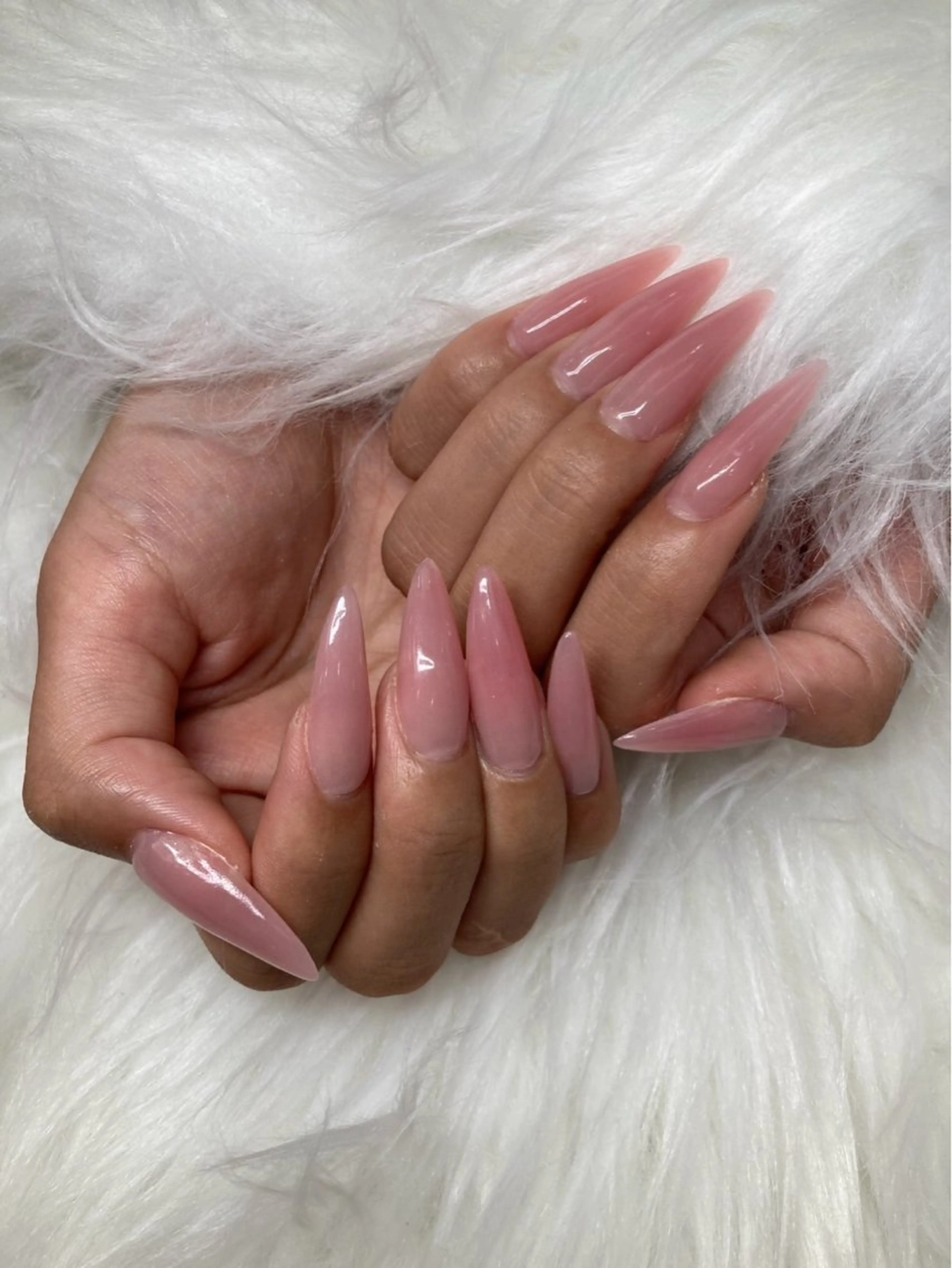 5名様限定ワンカラースカルプ[オフ無し]の写真