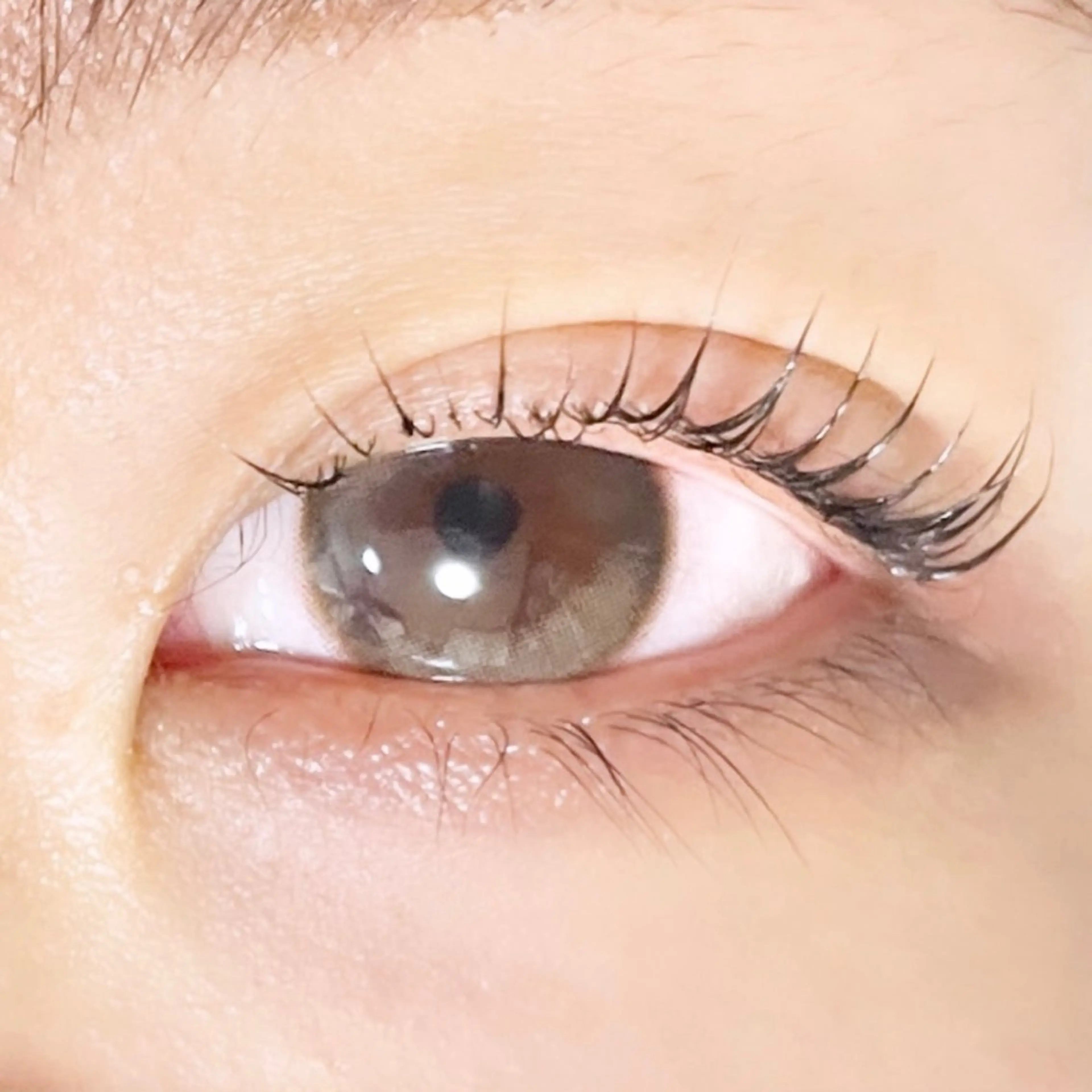 マツエク・マツパ TAKEO🖤 マリーテレジア藤が丘のマツエク・マツパデザイン