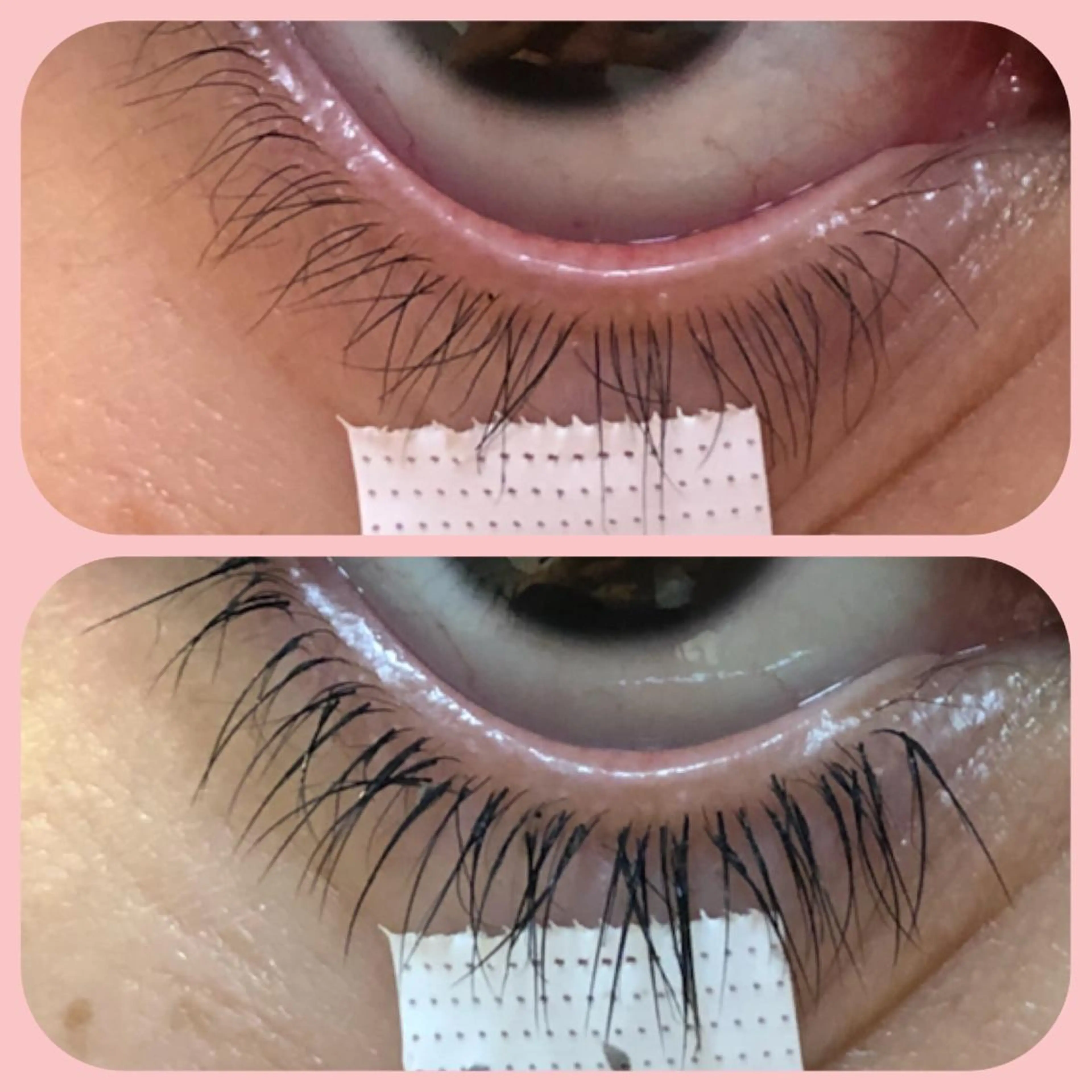 マツエク・マツパ 下まつげエクステ eyelash＆nail オクタビアス所属・オクタ ビアスのマツエク・マツパデザイン