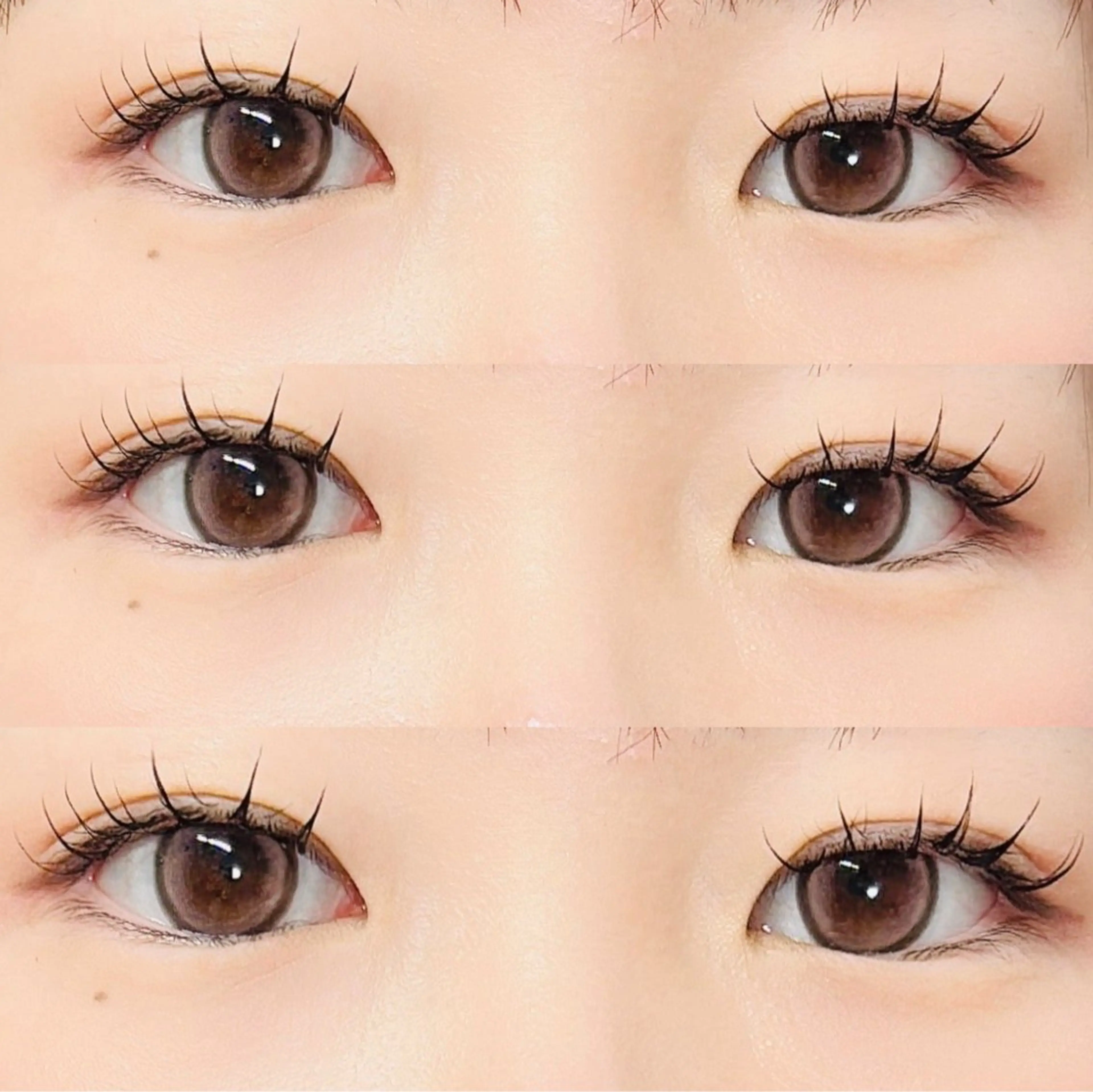 バインドロック80束💕の写真