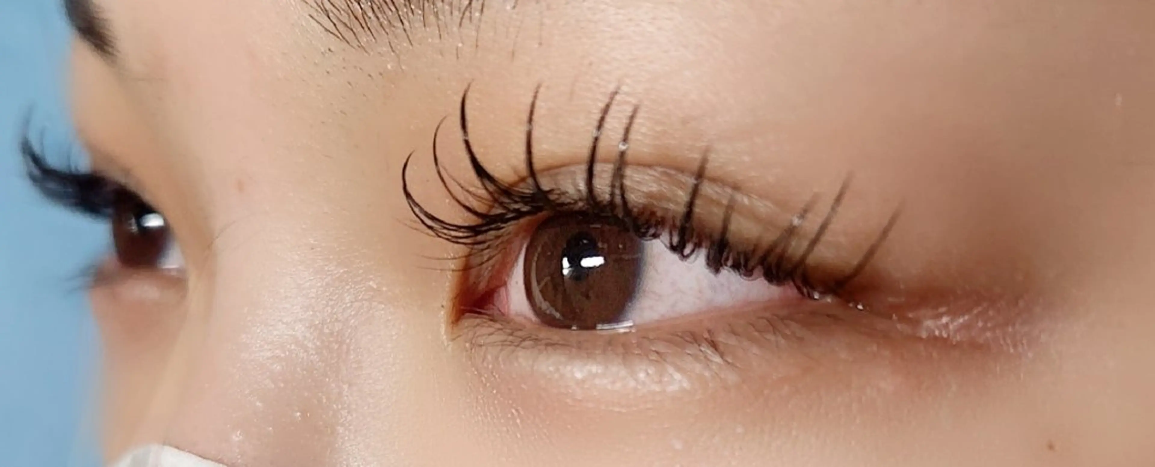 マツエク・マツパ Beauty Salon lau　大山店所属・Beauty Salon lauのマツエク・マツパデザイン