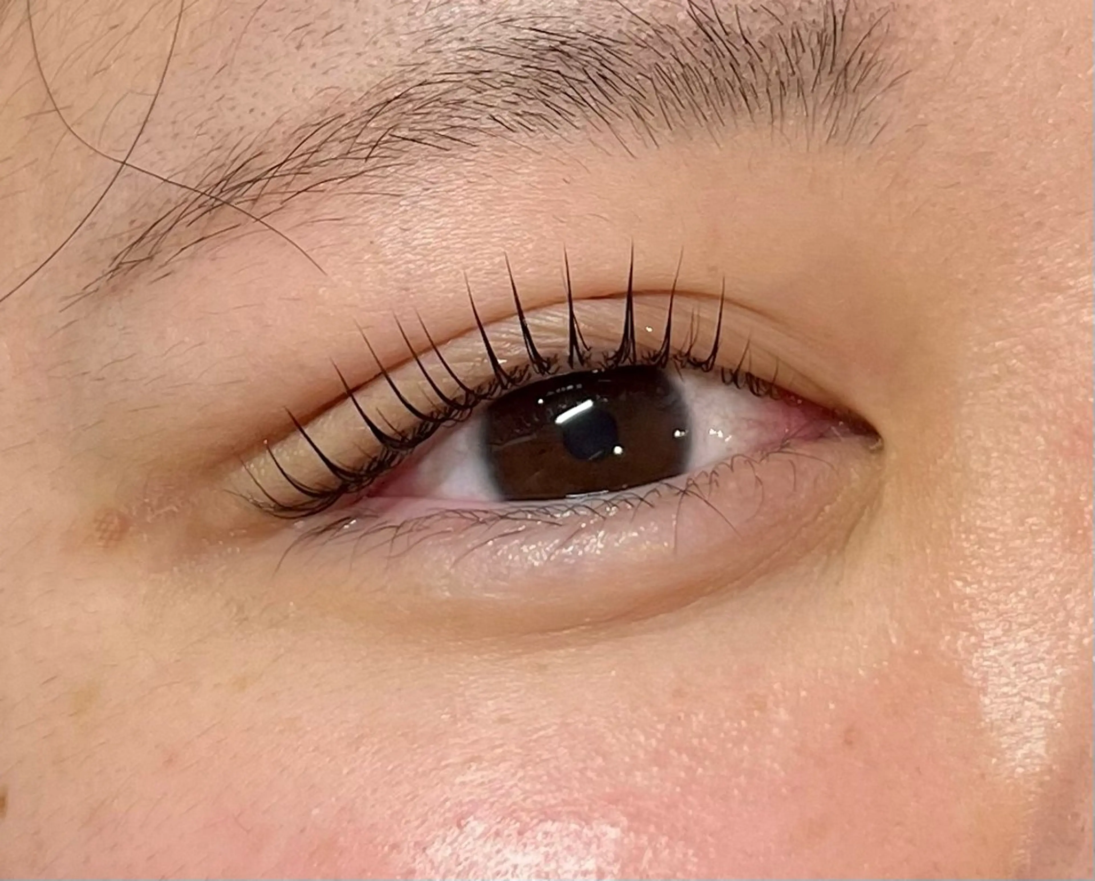 マツエク・マツパ 五十嵐 瑚都🕊️の眉毛・アイブロウイメージ